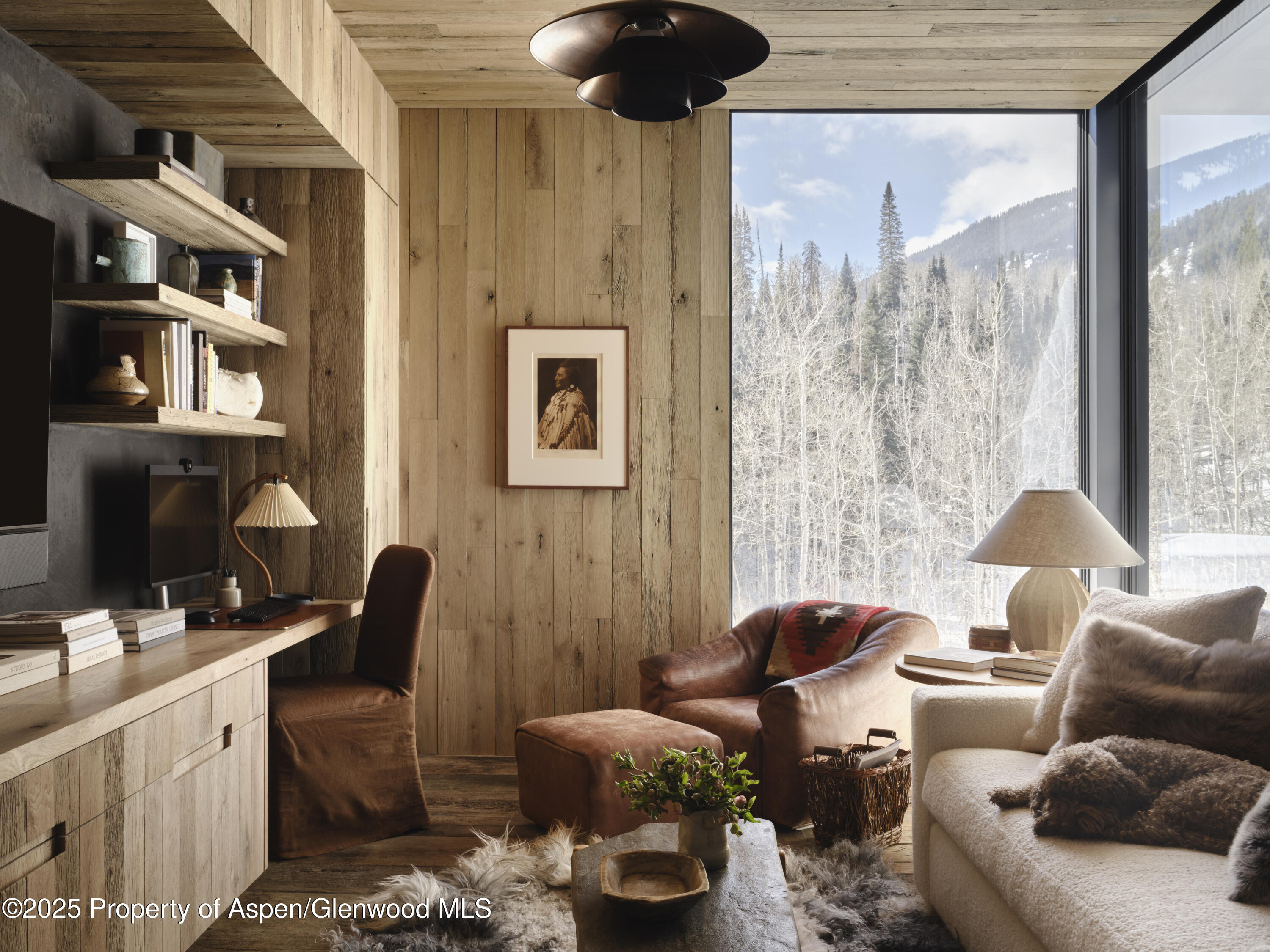 724 N Hayden Road Aspen CO 81611