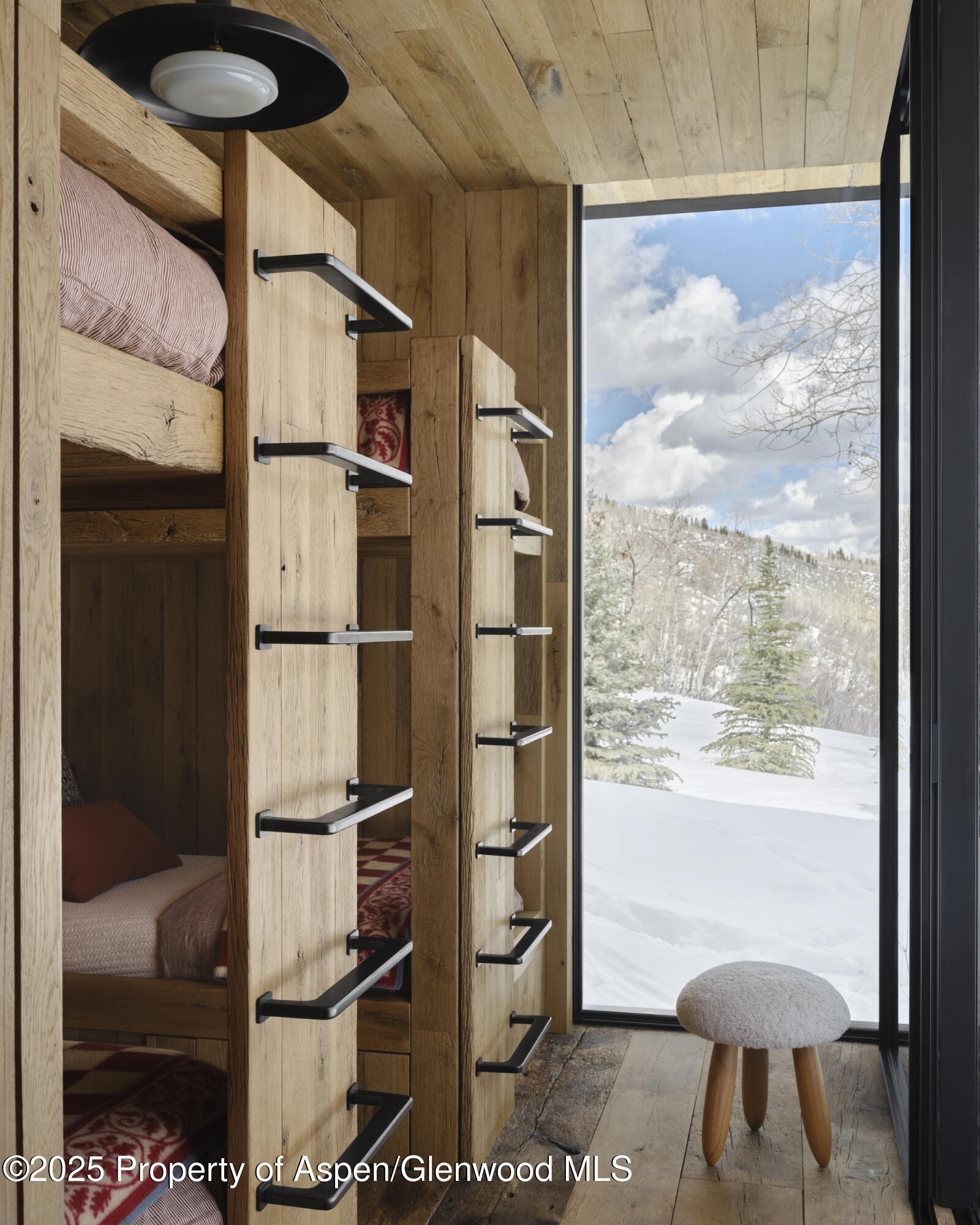 724 N Hayden Road Aspen CO 81611