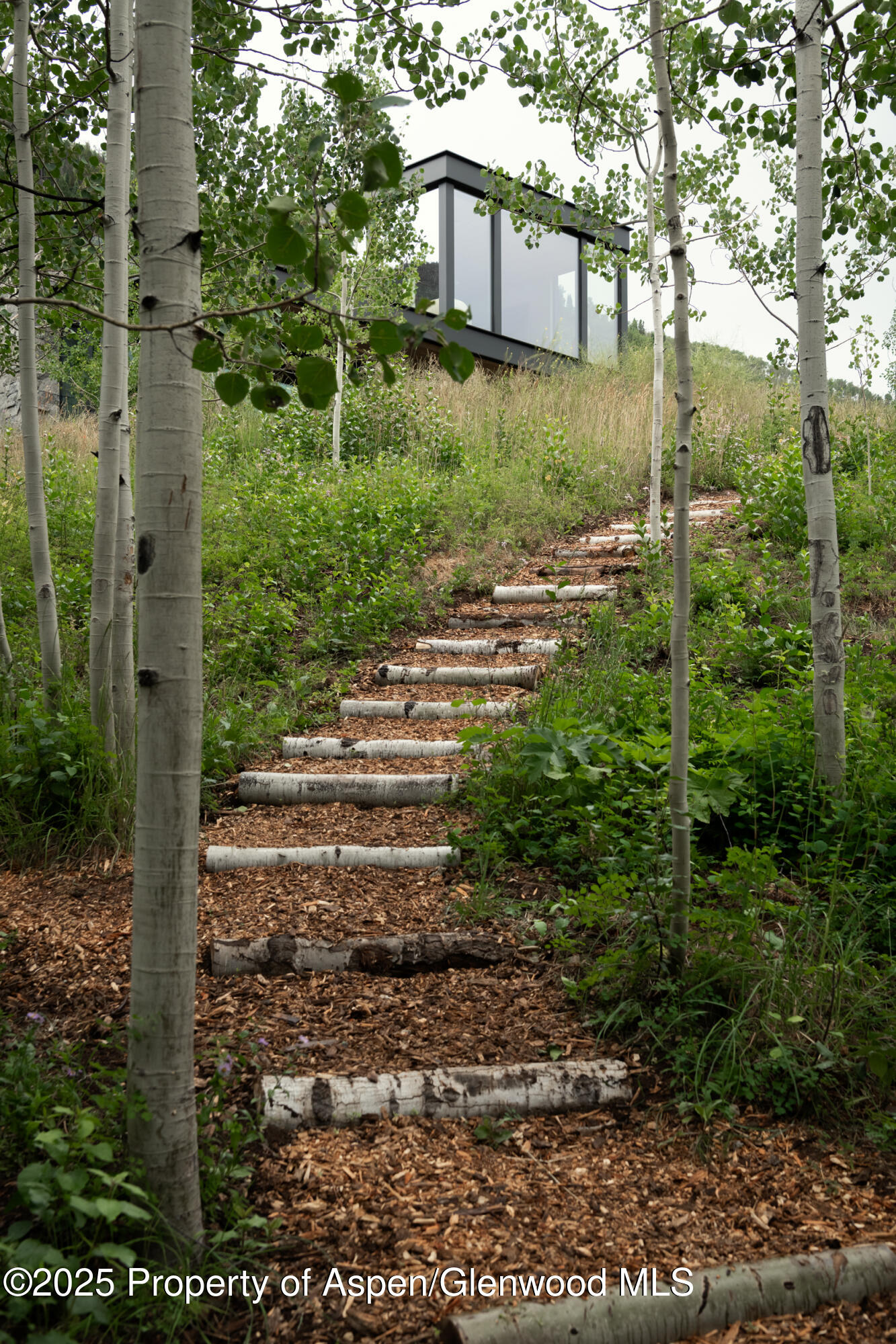 724 N Hayden Road Aspen CO 81611