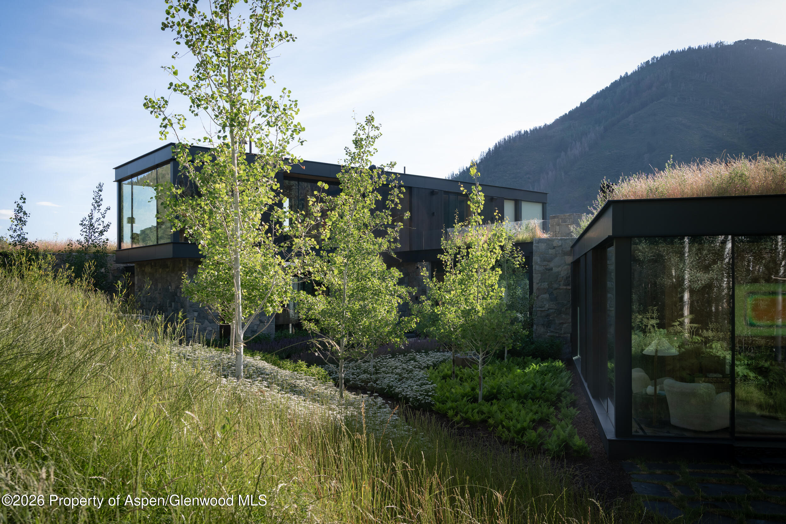 724 N Hayden Road Aspen CO 81611