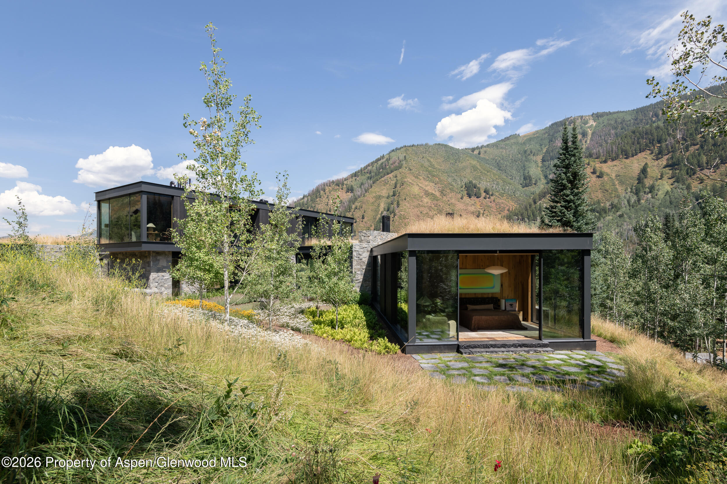 724 N Hayden Road Aspen CO 81611