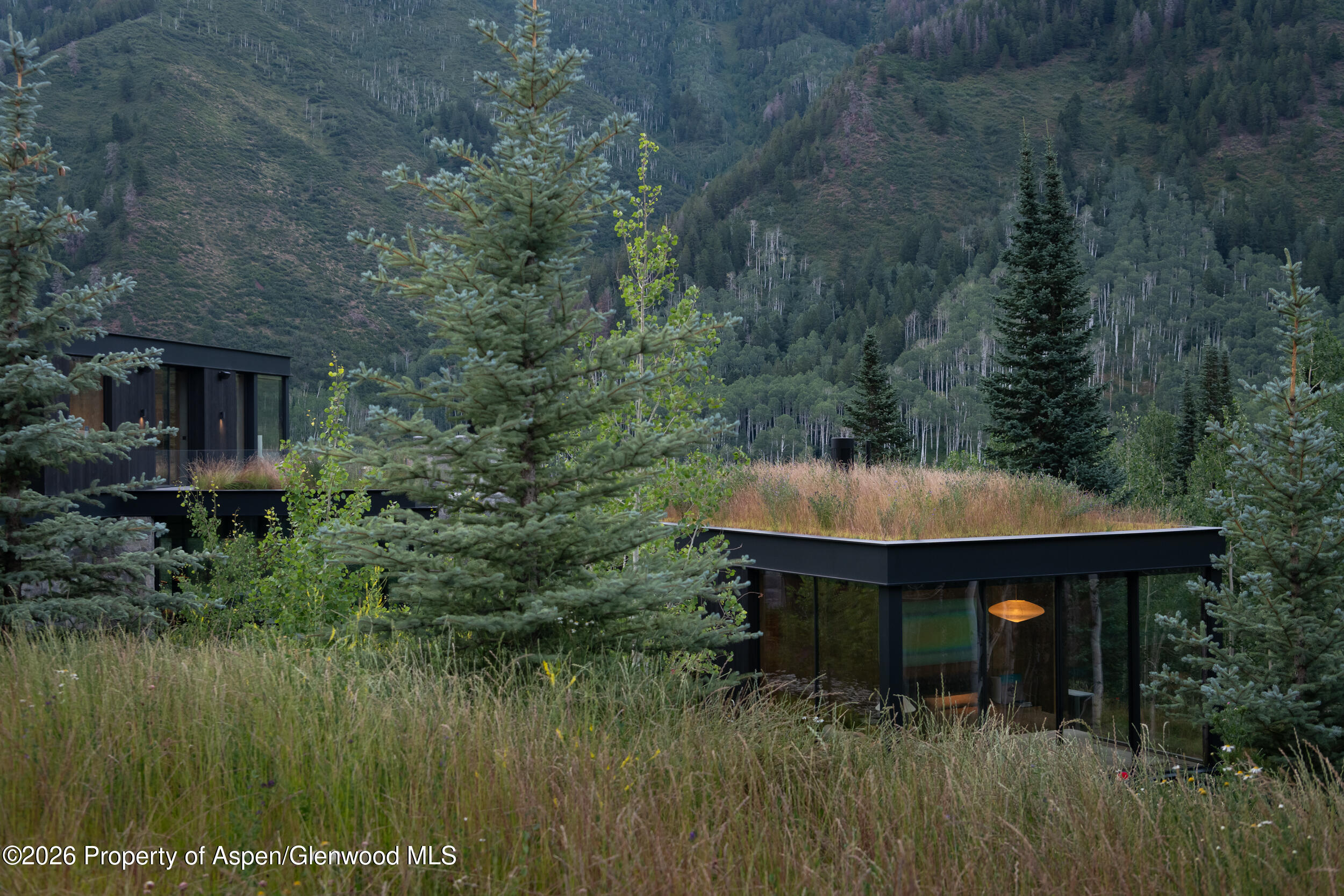 724 N Hayden Road Aspen CO 81611