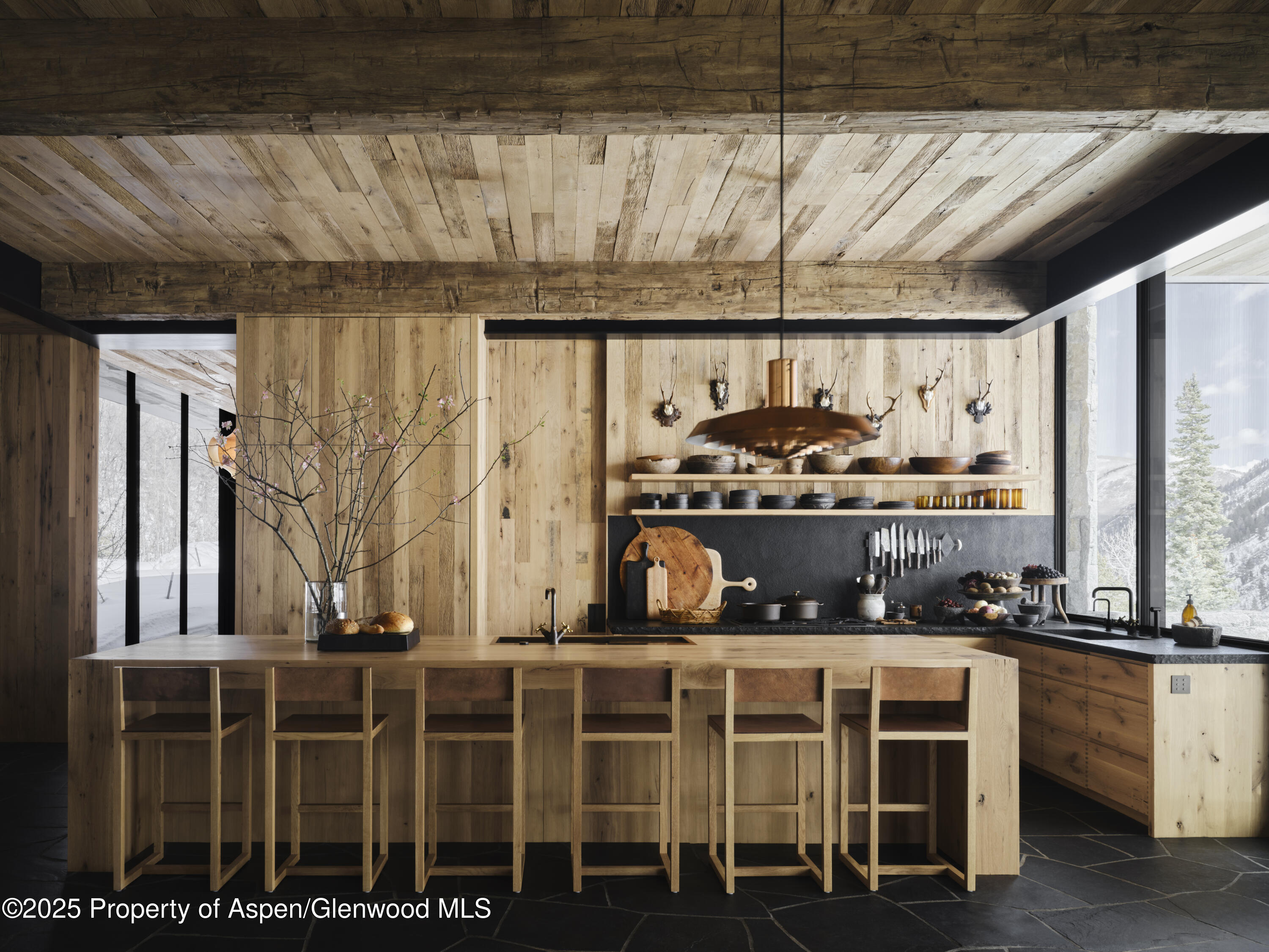 724 N Hayden Road Aspen CO 81611