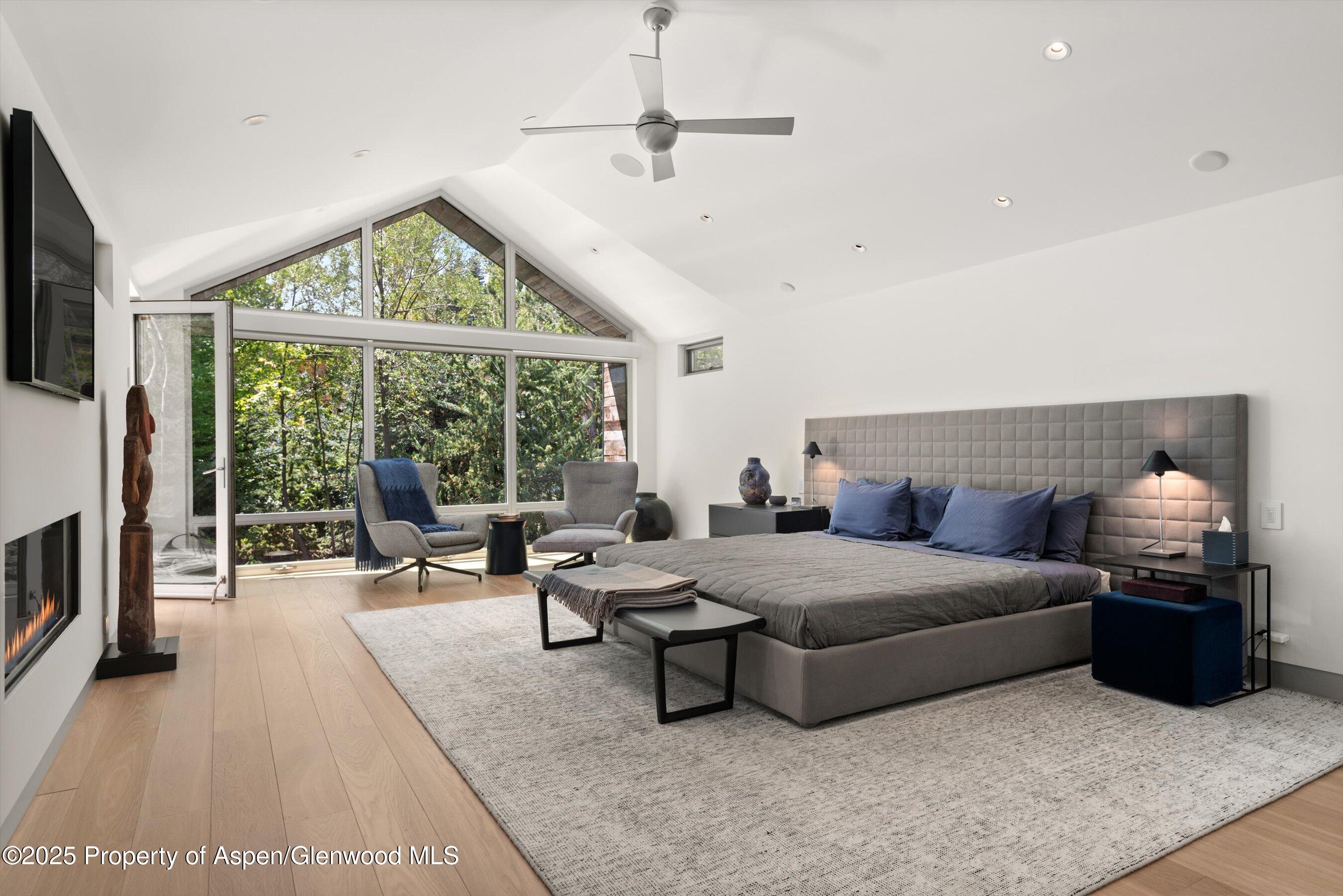 1180 Black Birch Drive Aspen CO 81611