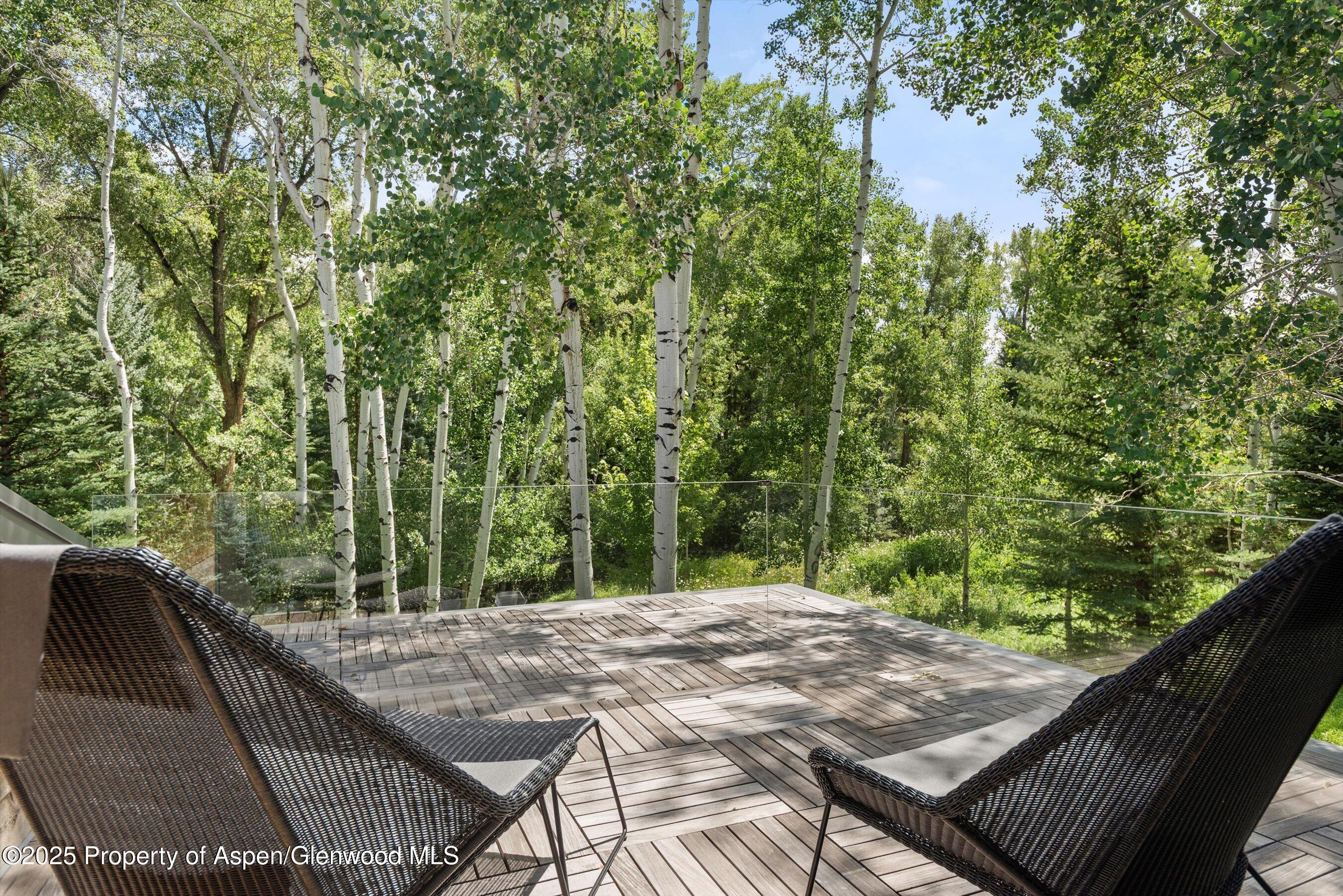 1180 Black Birch Drive Aspen CO 81611