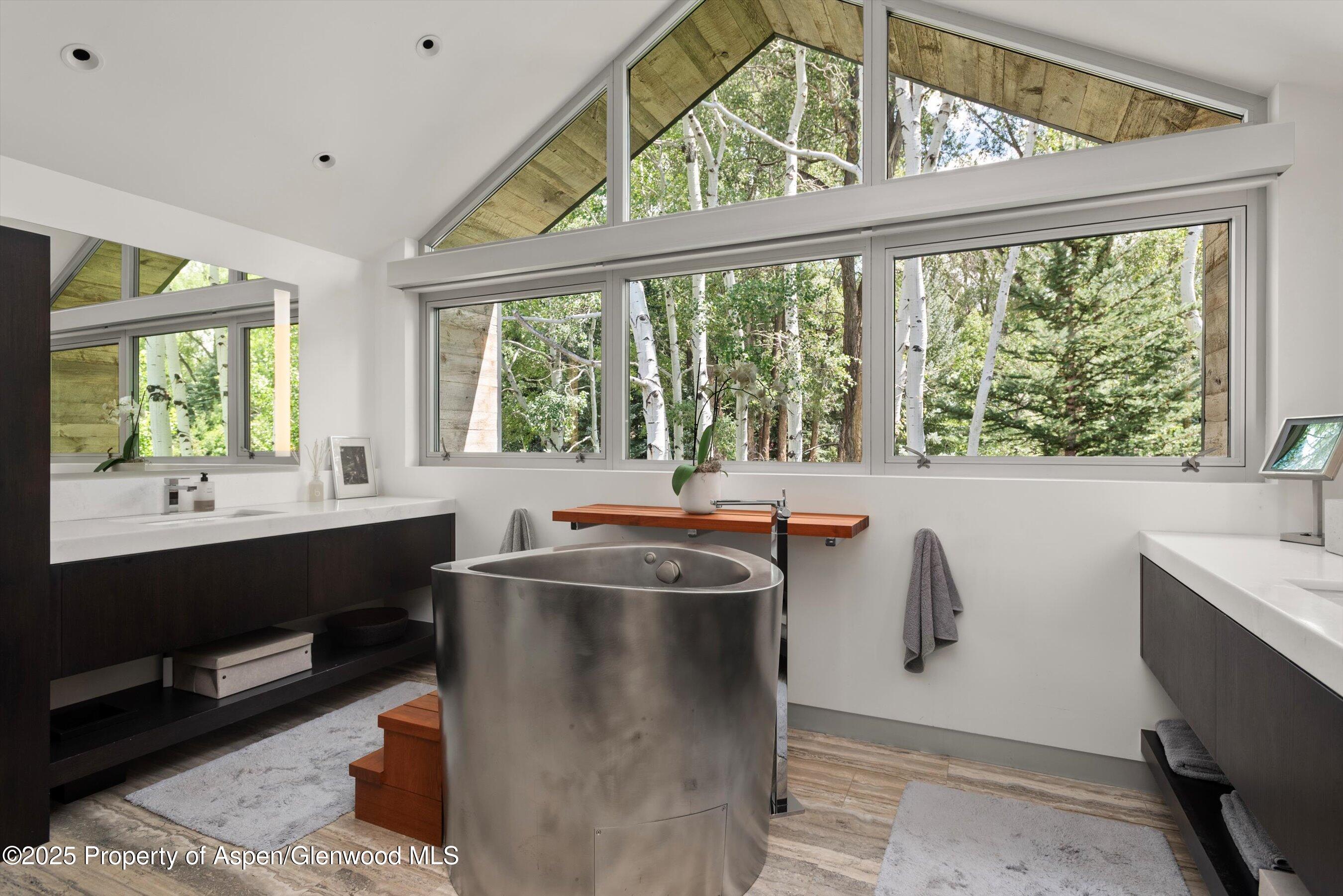 1180 Black Birch Drive Aspen CO 81611