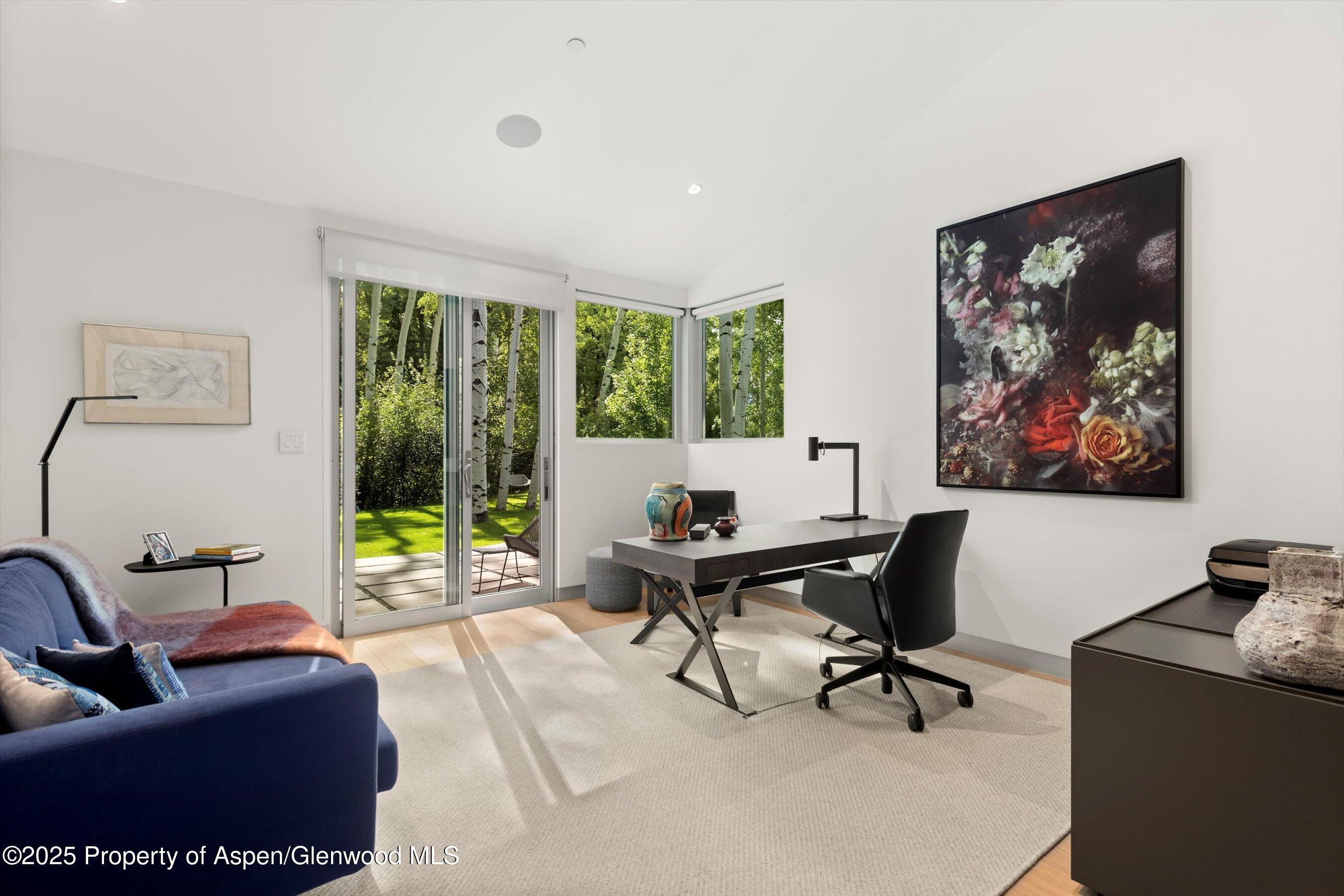 1180 Black Birch Drive Aspen CO 81611