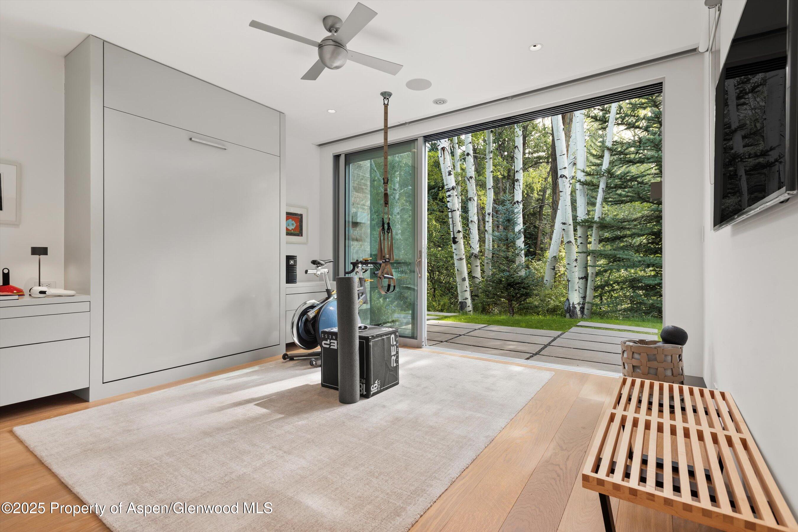 1180 Black Birch Drive Aspen CO 81611