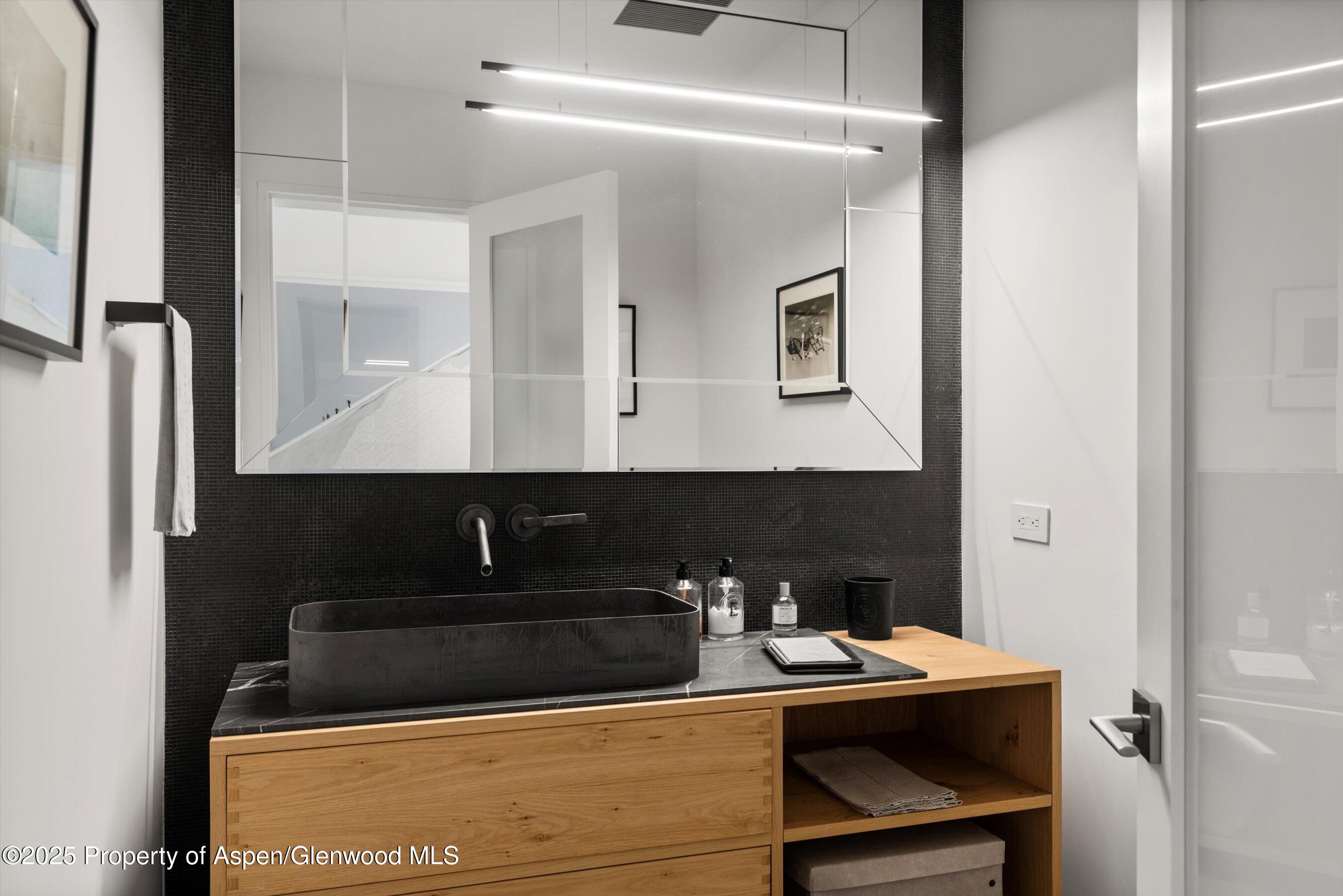 1180 Black Birch Drive Aspen CO 81611