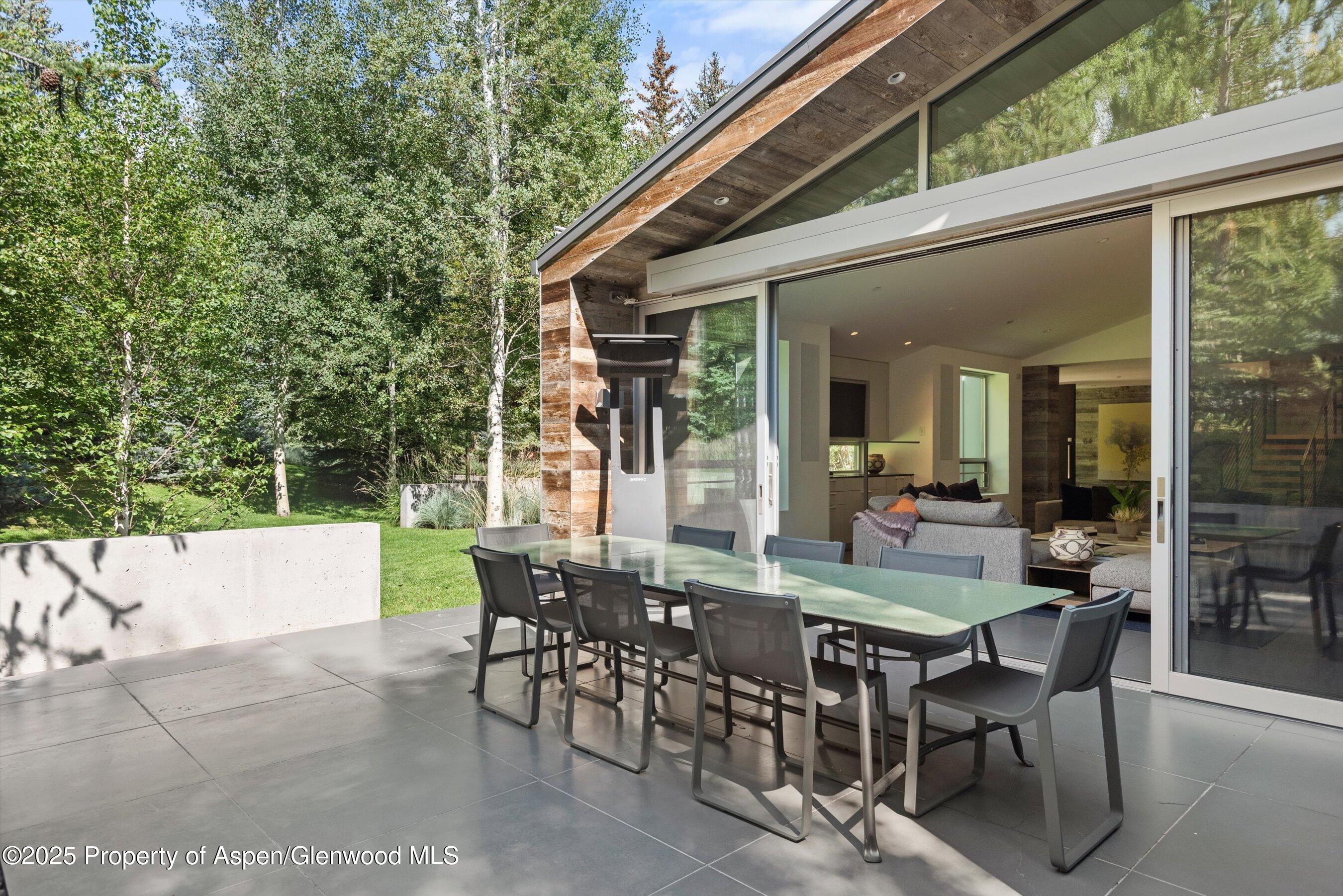 1180 Black Birch Drive Aspen CO 81611