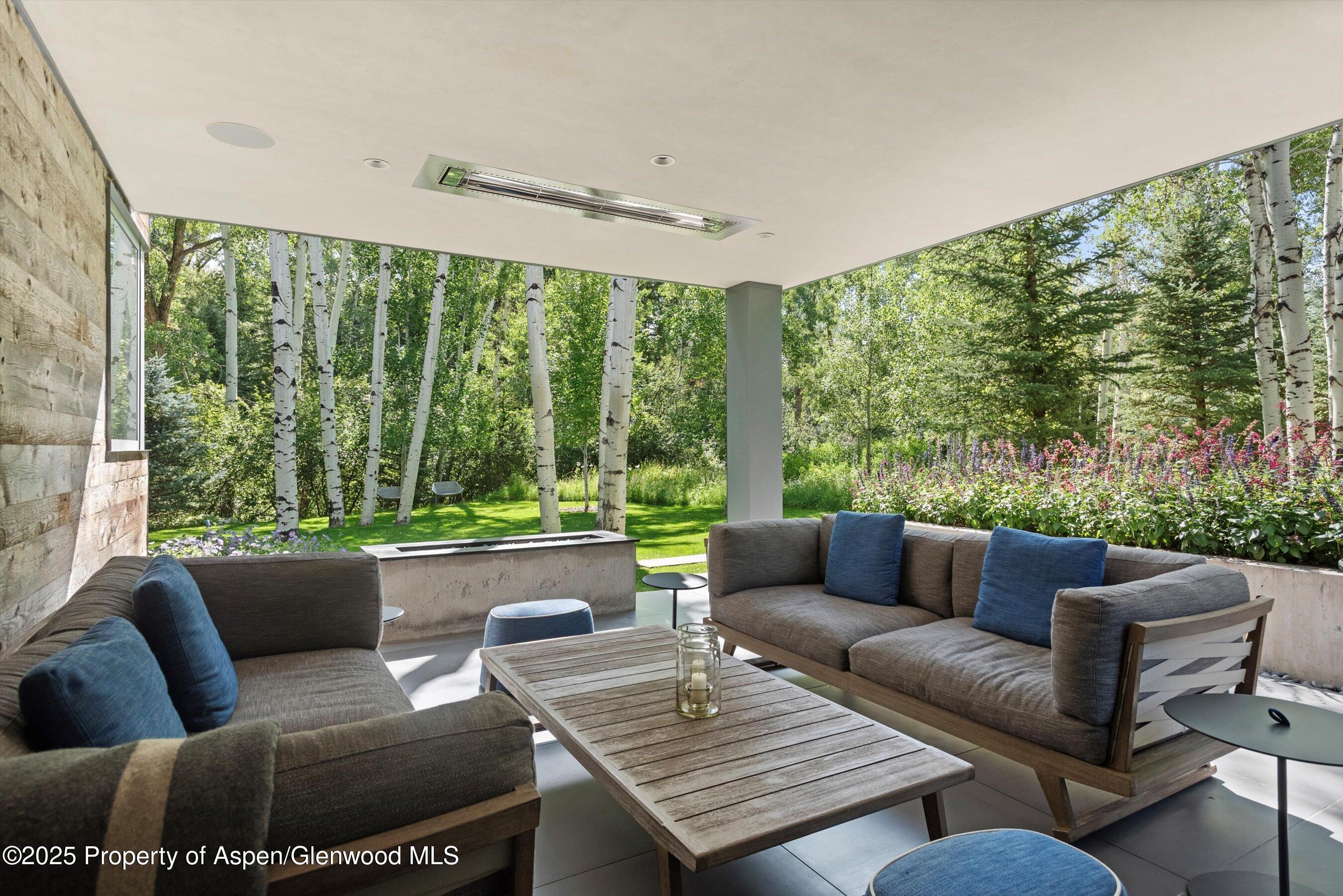 1180 Black Birch Drive Aspen CO 81611