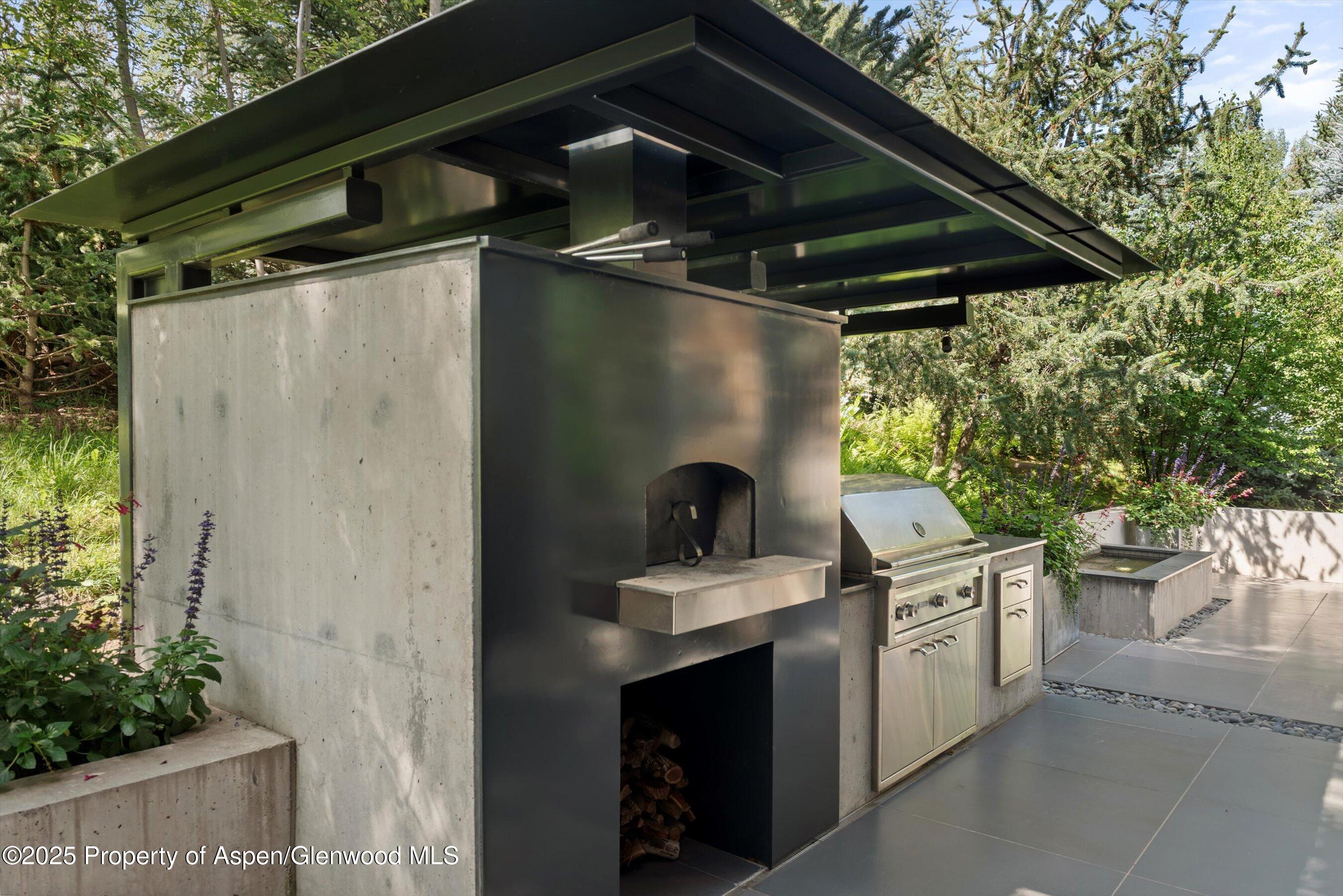 1180 Black Birch Drive Aspen CO 81611