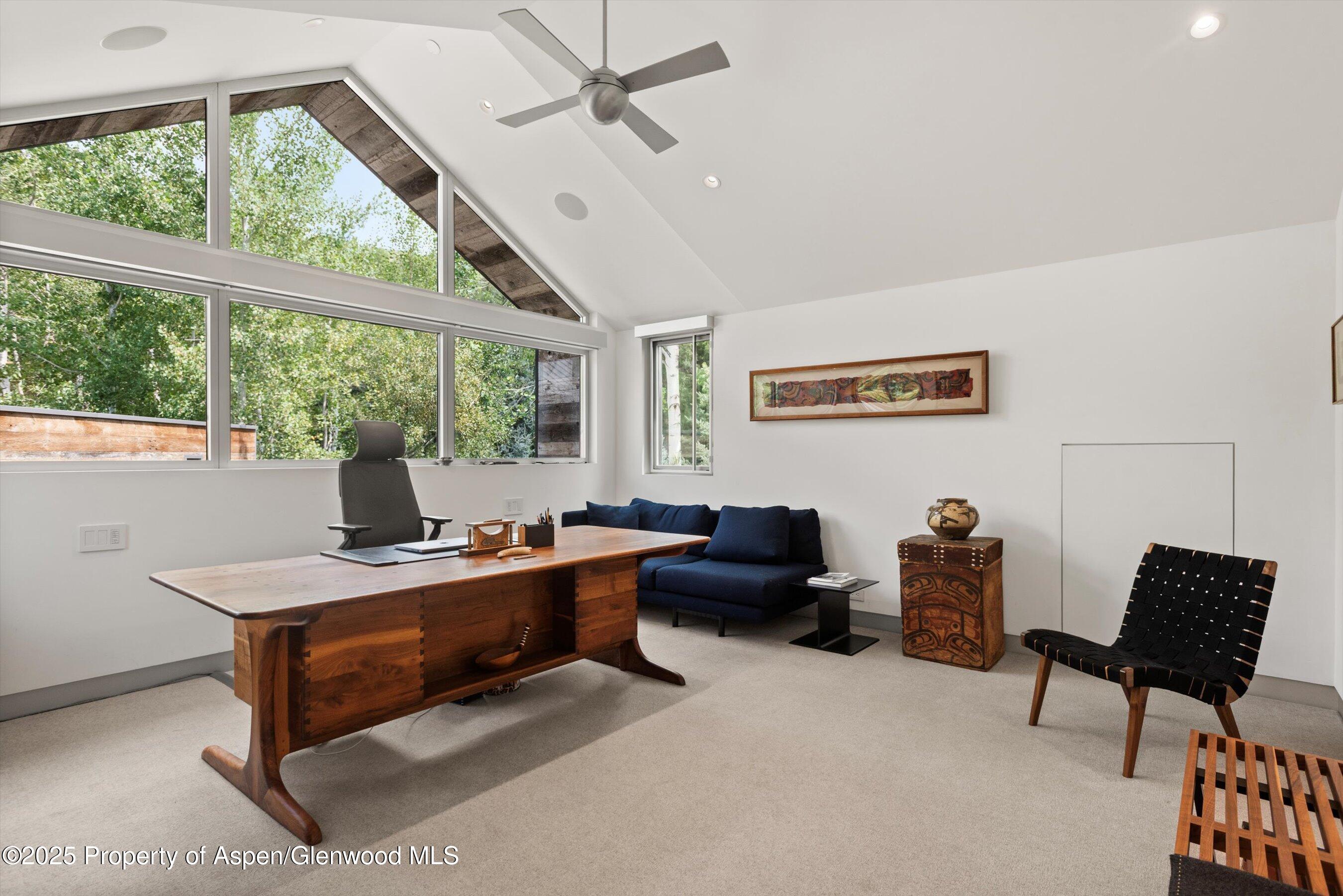 1180 Black Birch Drive Aspen CO 81611