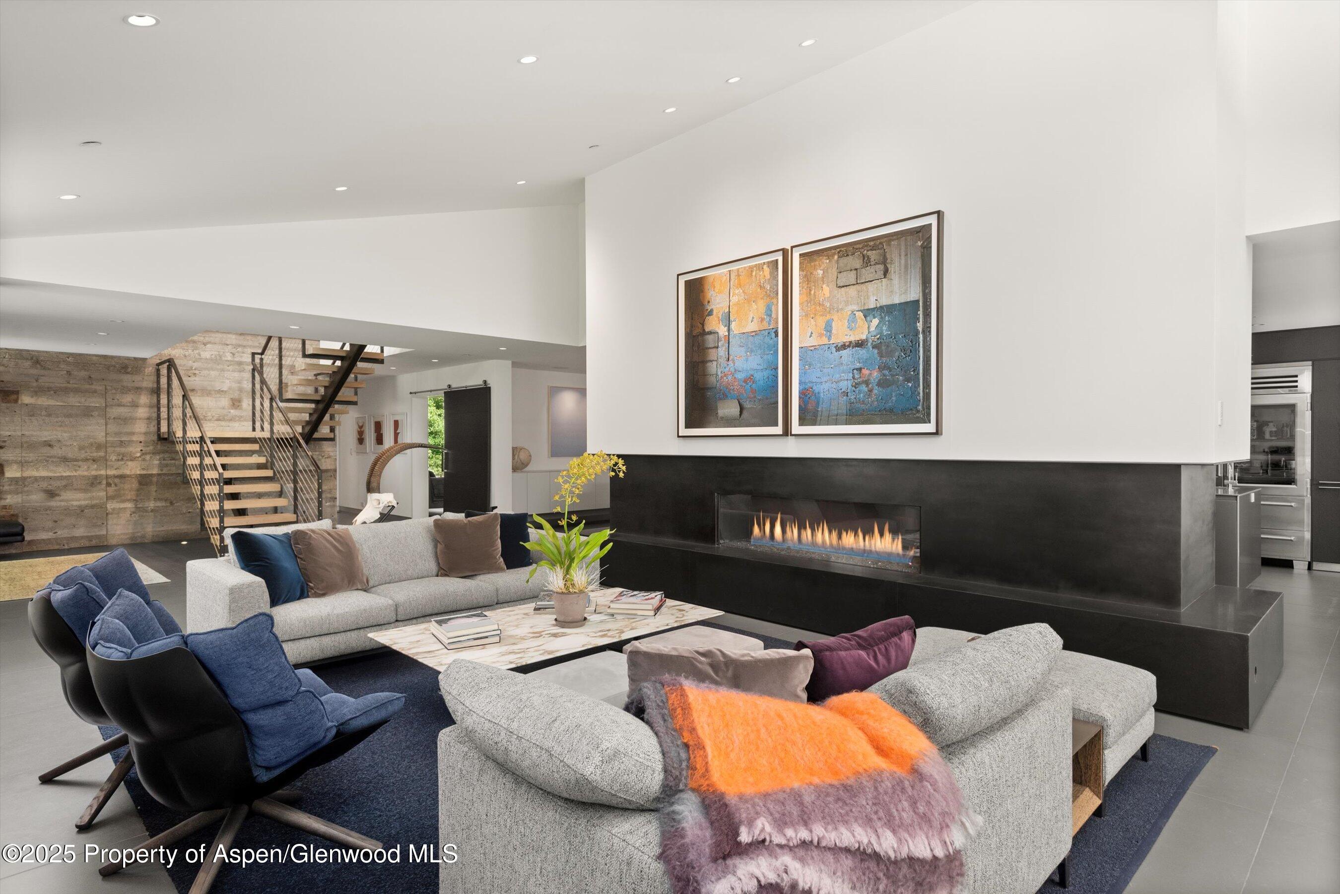 1180 Black Birch Drive Aspen CO 81611