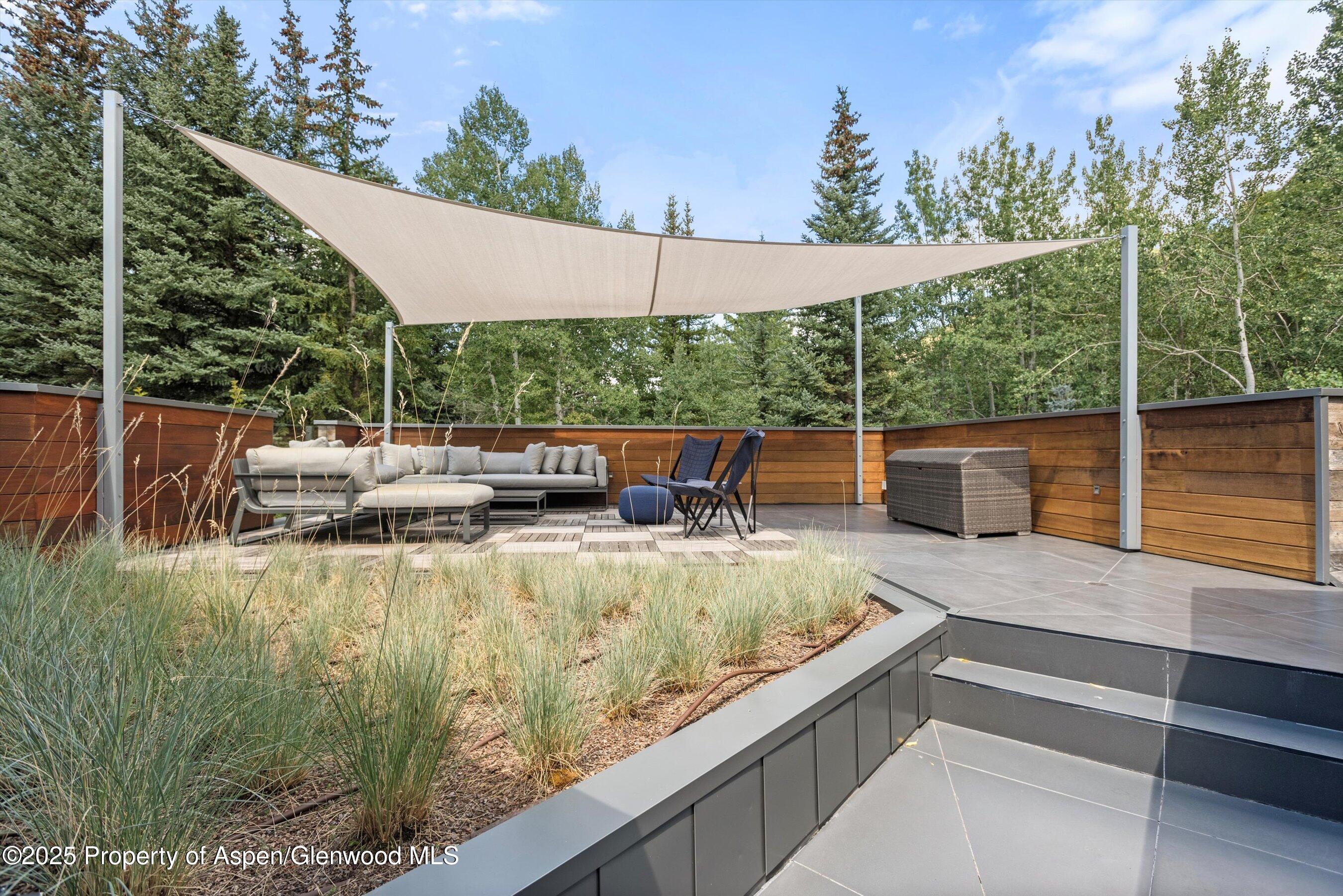 1180 Black Birch Drive Aspen CO 81611