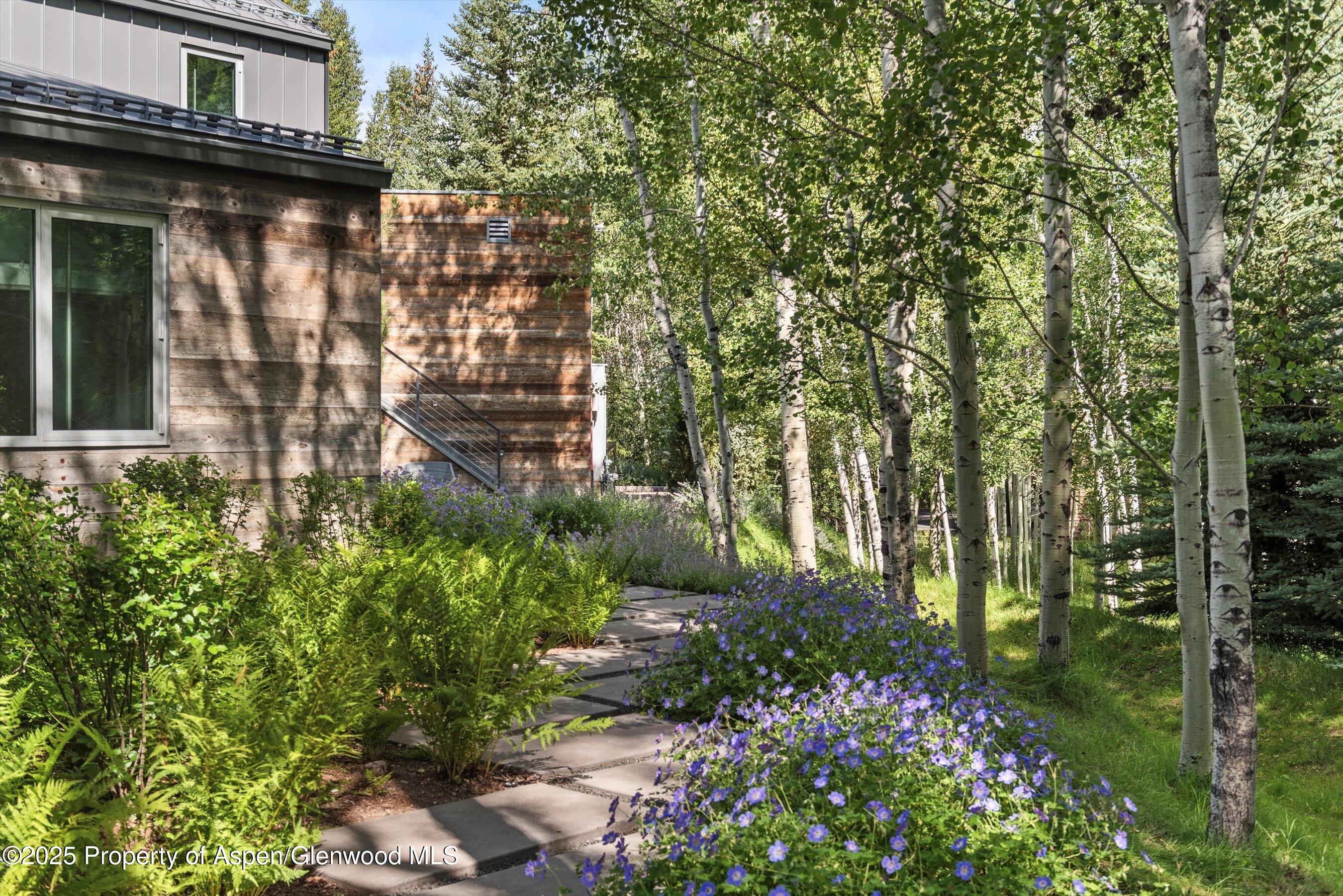 1180 Black Birch Drive Aspen CO 81611