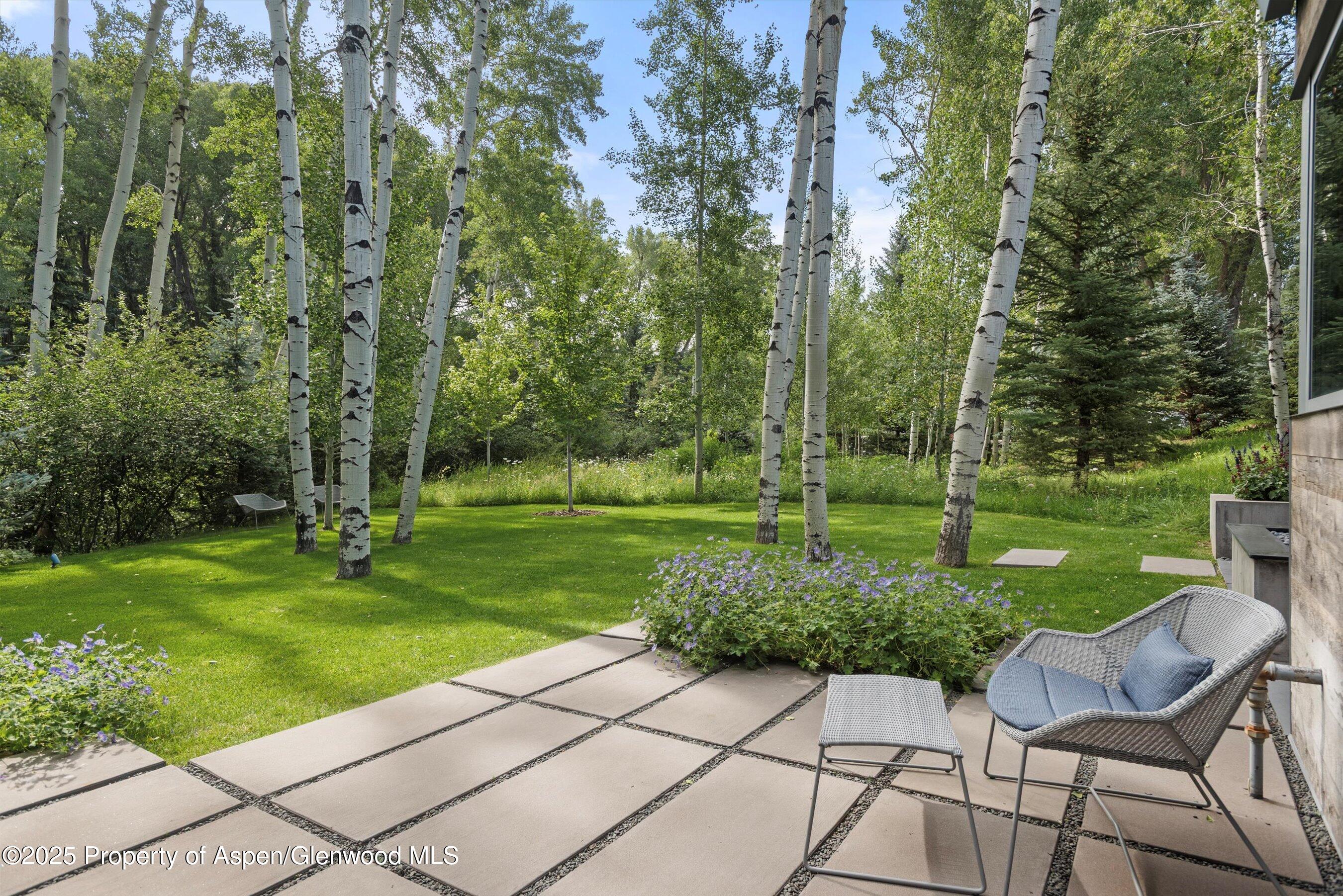 1180 Black Birch Drive Aspen CO 81611