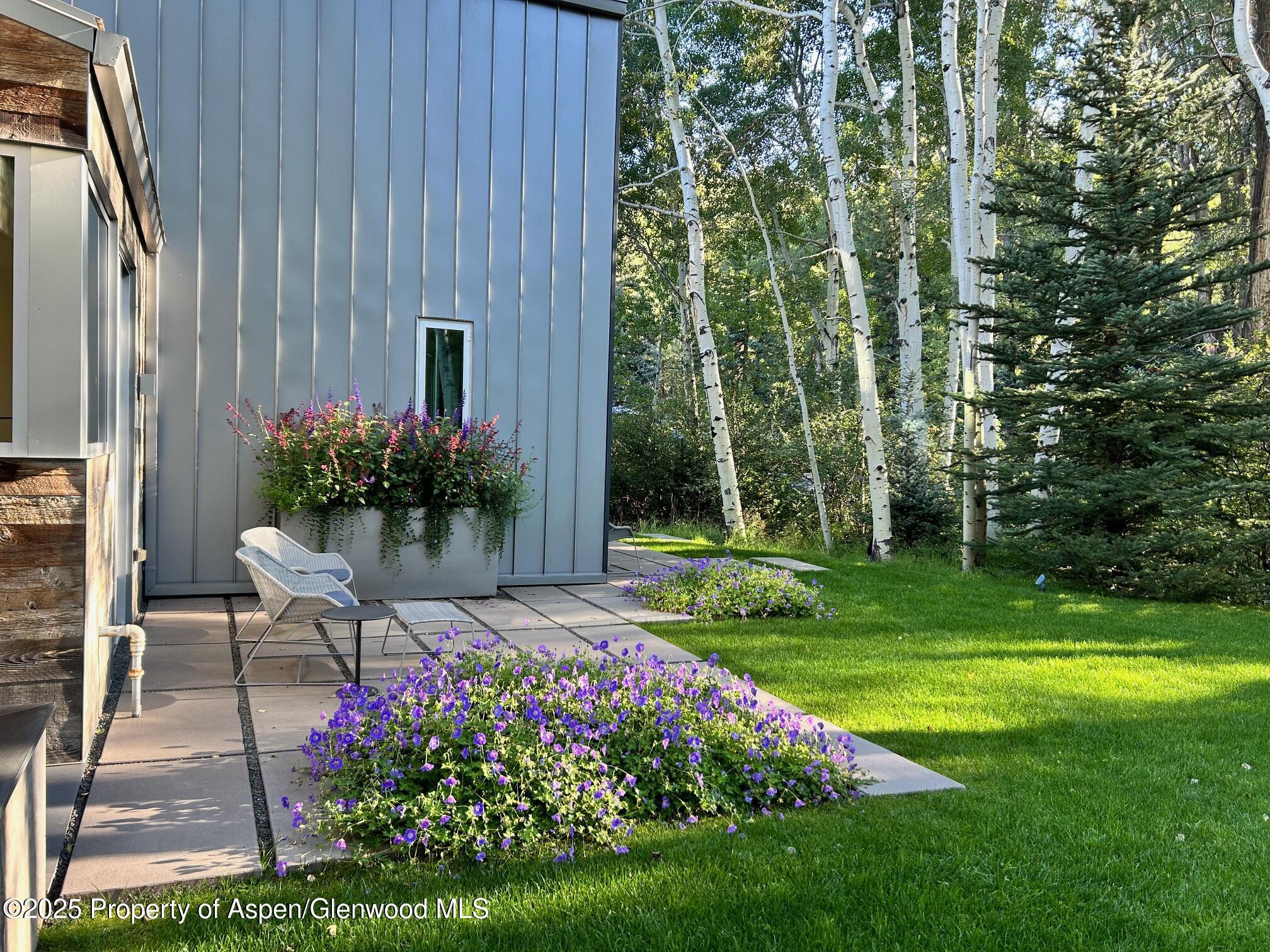 1180 Black Birch Drive Aspen CO 81611