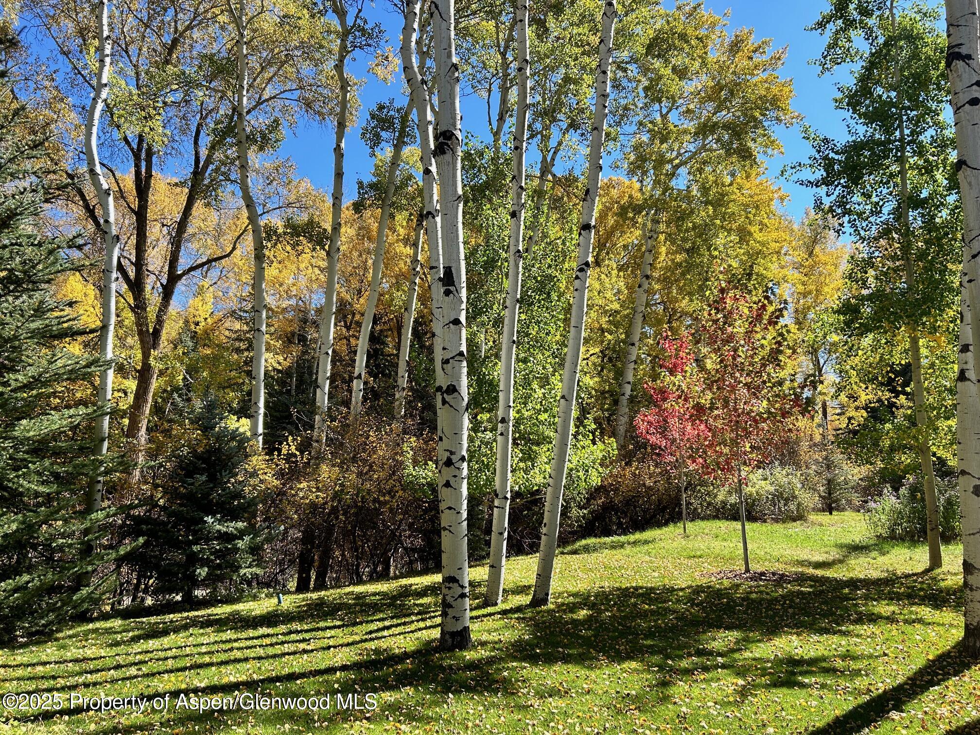 1180 Black Birch Drive Aspen CO 81611