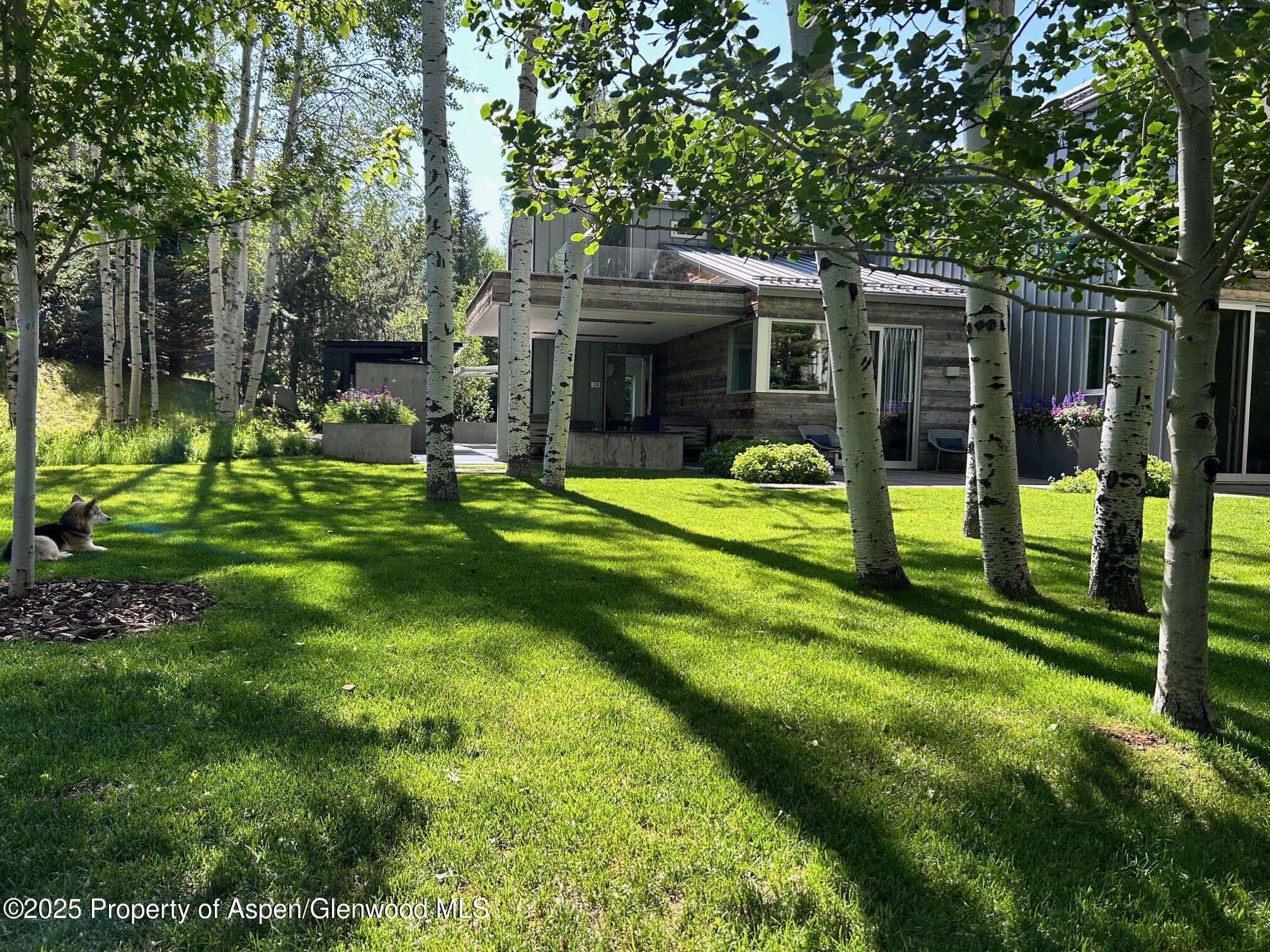 1180 Black Birch Drive Aspen CO 81611