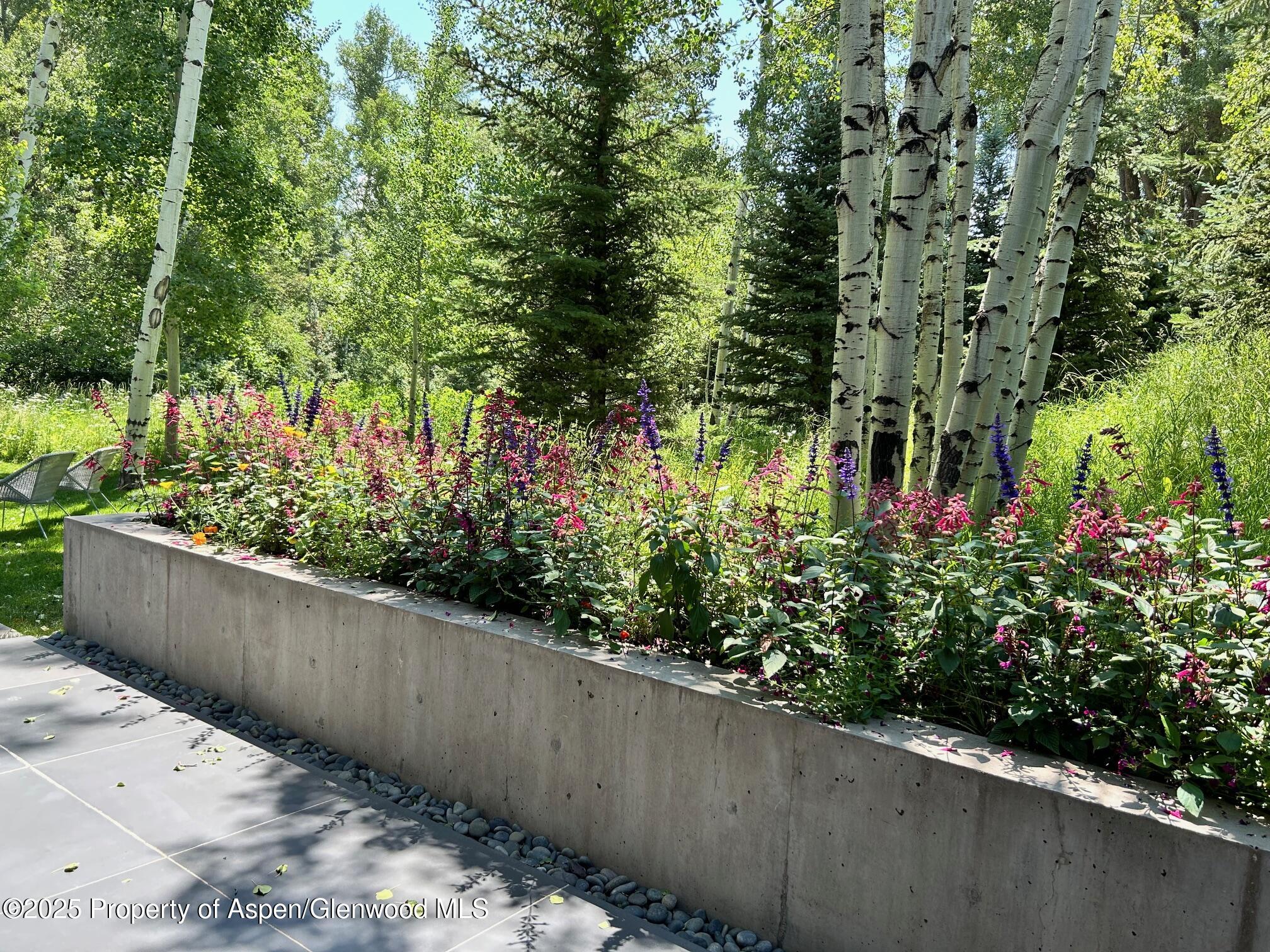 1180 Black Birch Drive Aspen CO 81611