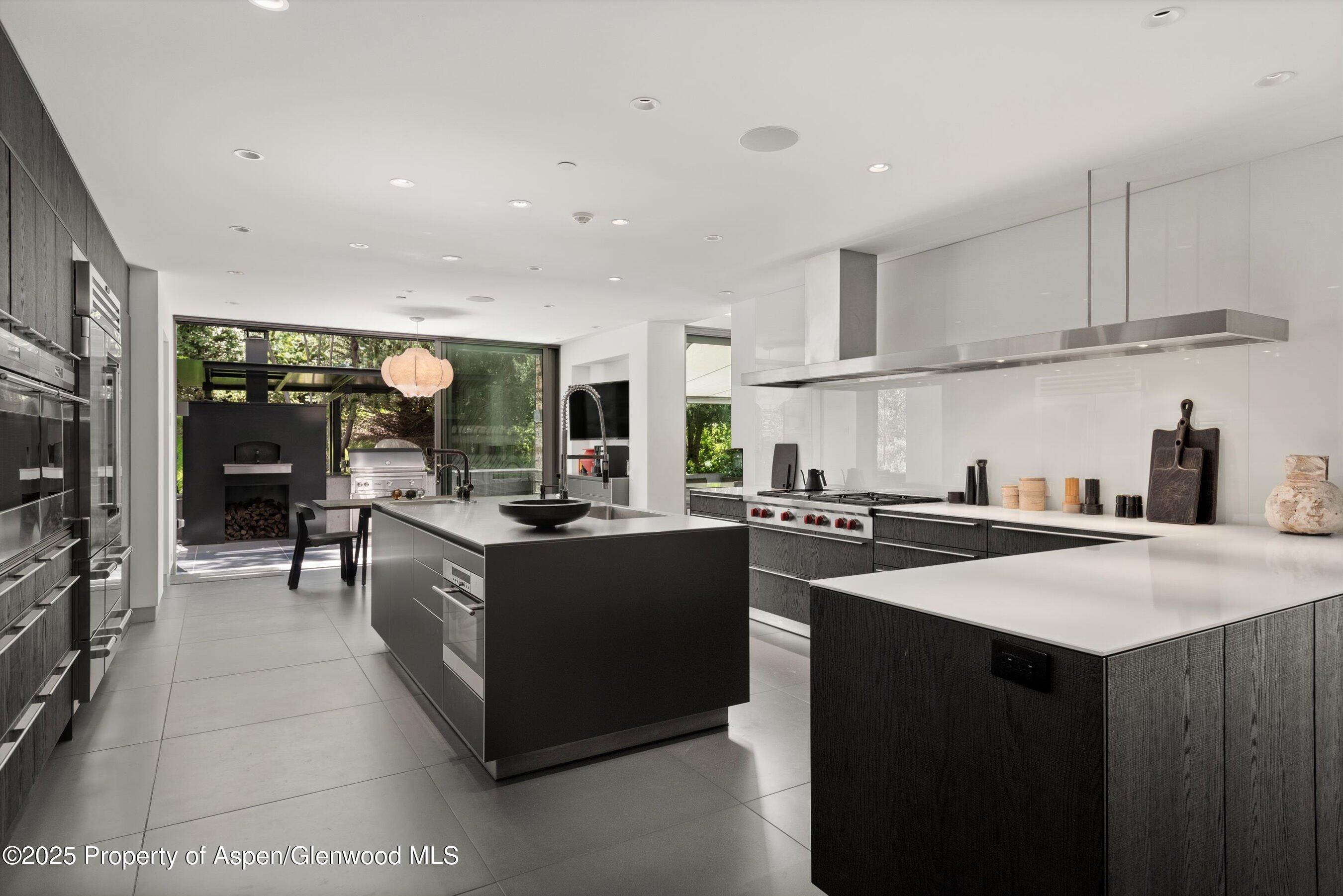 1180 Black Birch Drive Aspen CO 81611