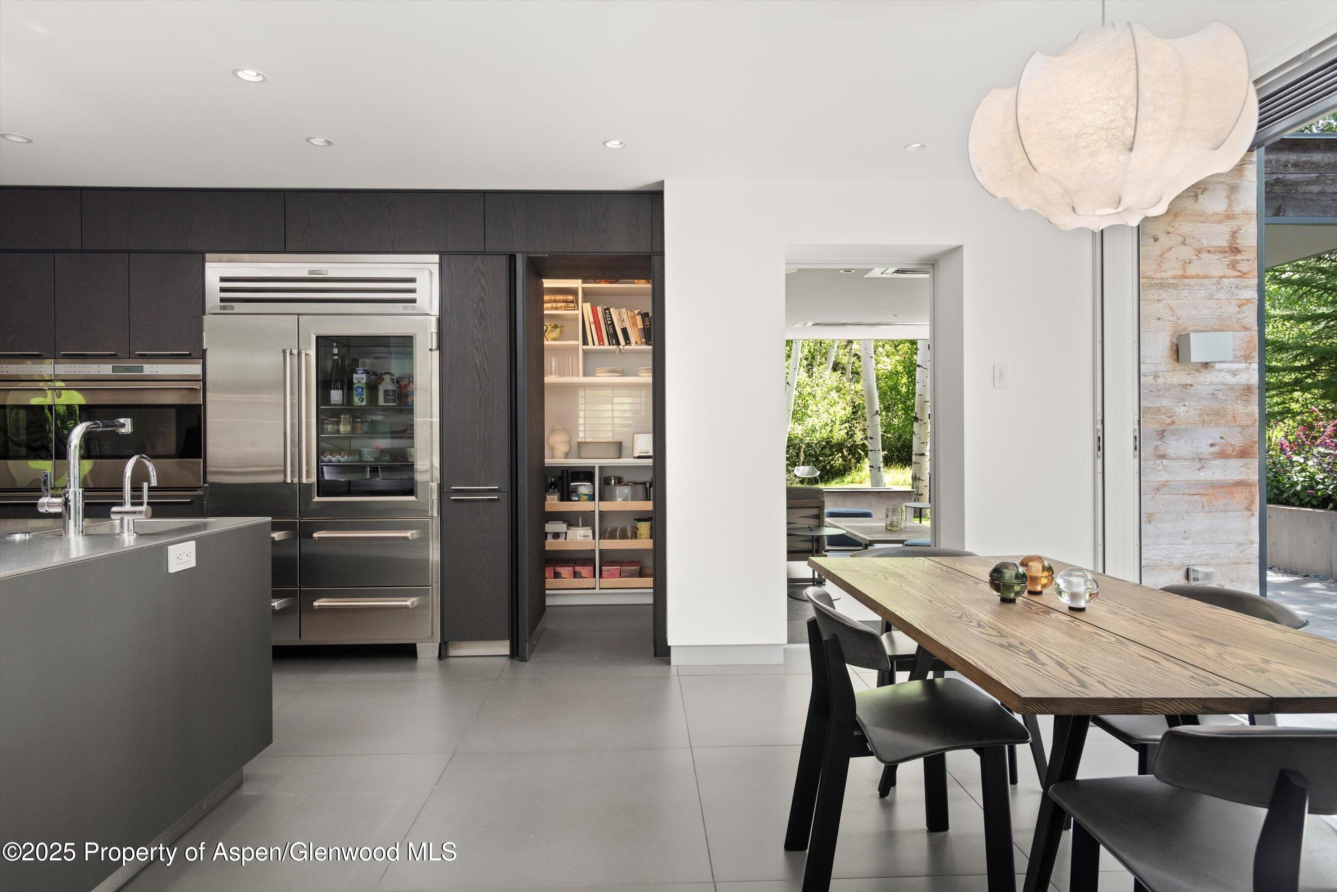 1180 Black Birch Drive Aspen CO 81611