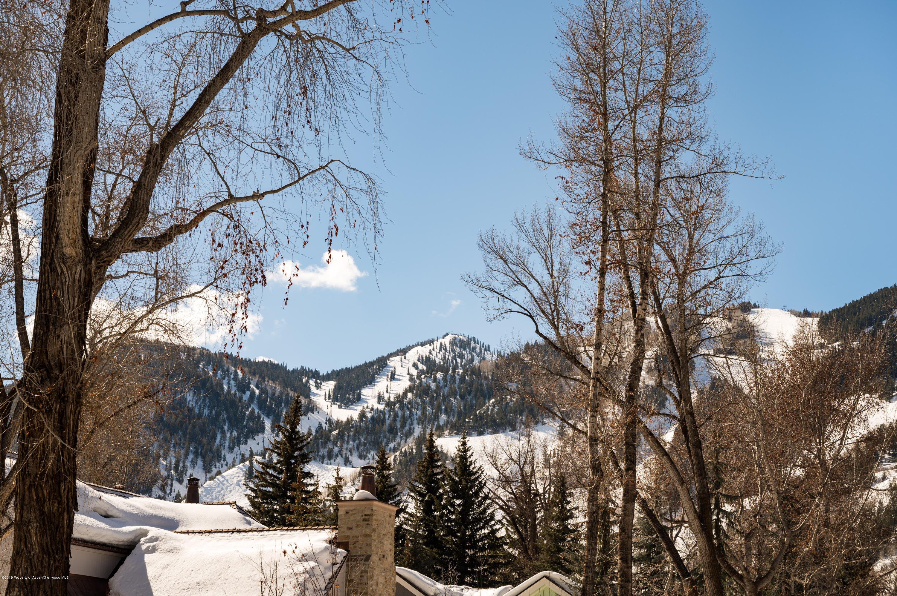 234 W Francis Street Aspen CO 81611