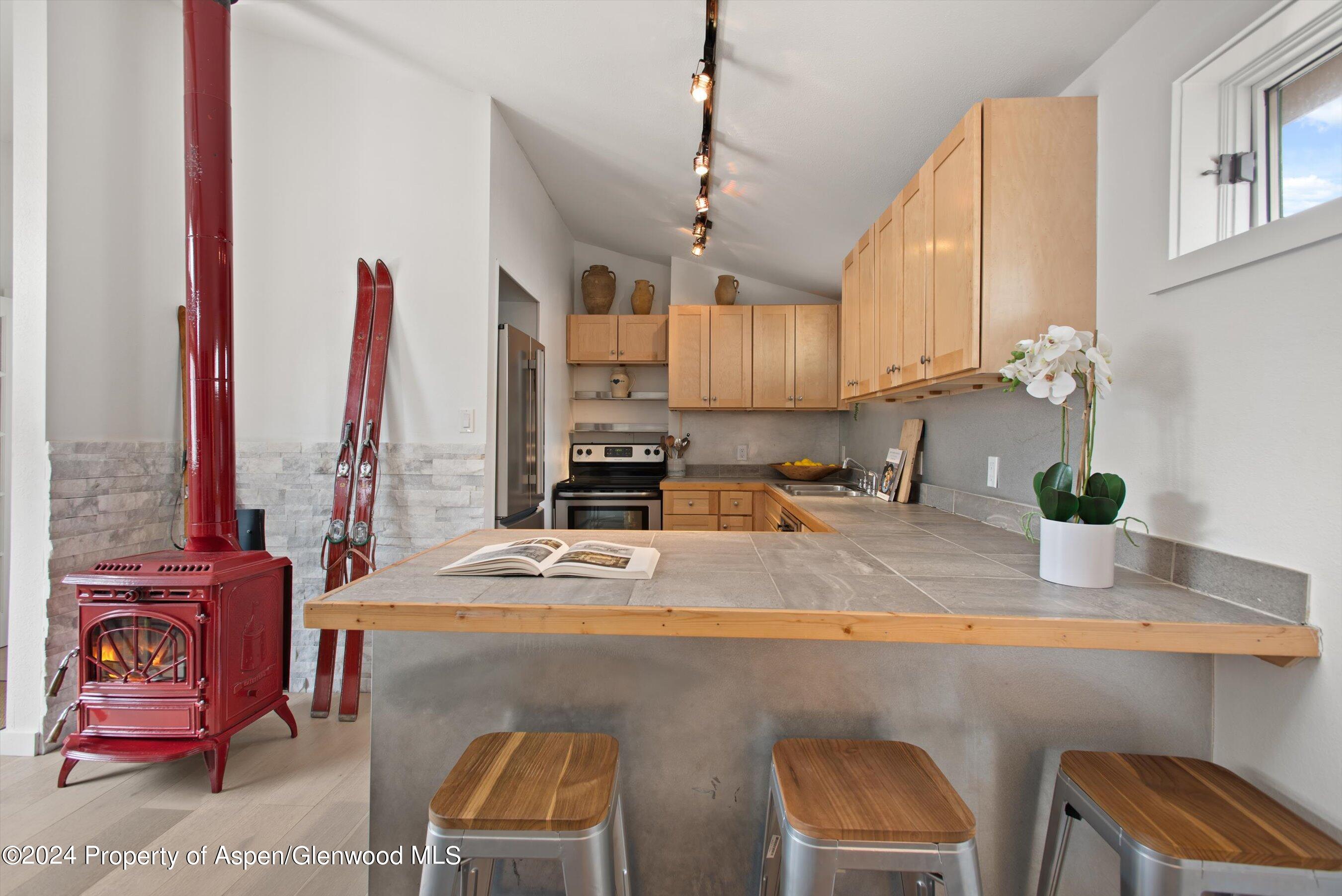 140 Maple Lane Aspen CO 81611