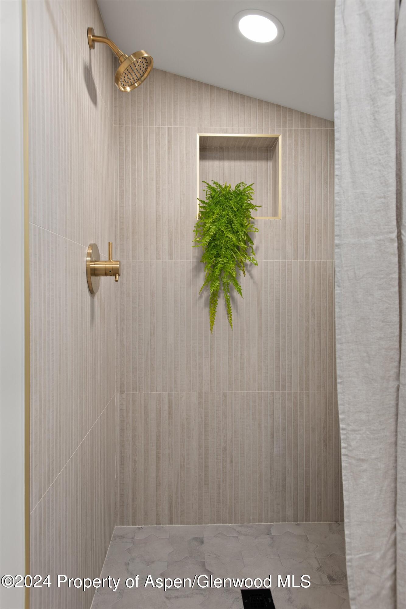 140 Maple Lane Aspen CO 81611