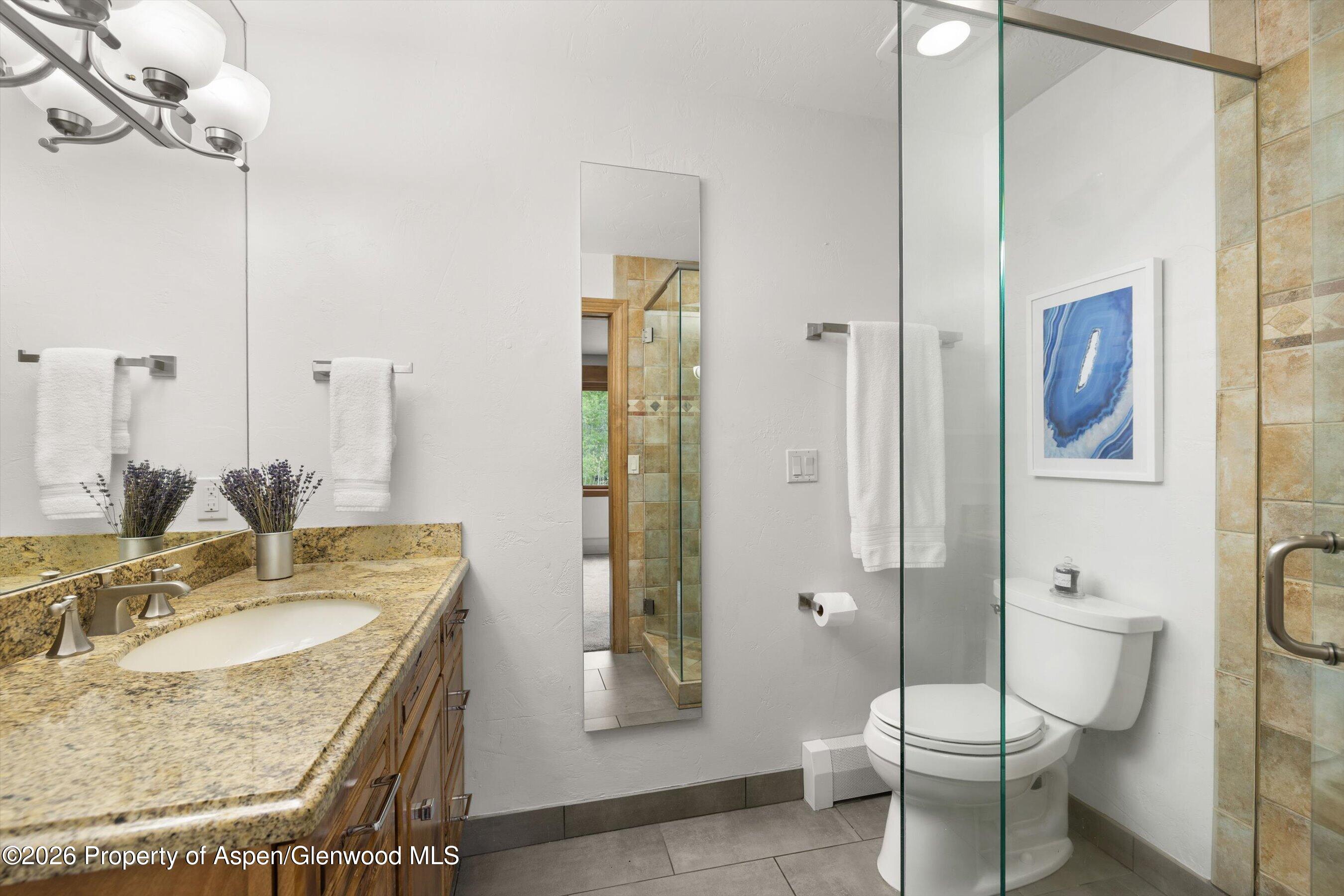 1020 E Durant Avenue Aspen CO 81611