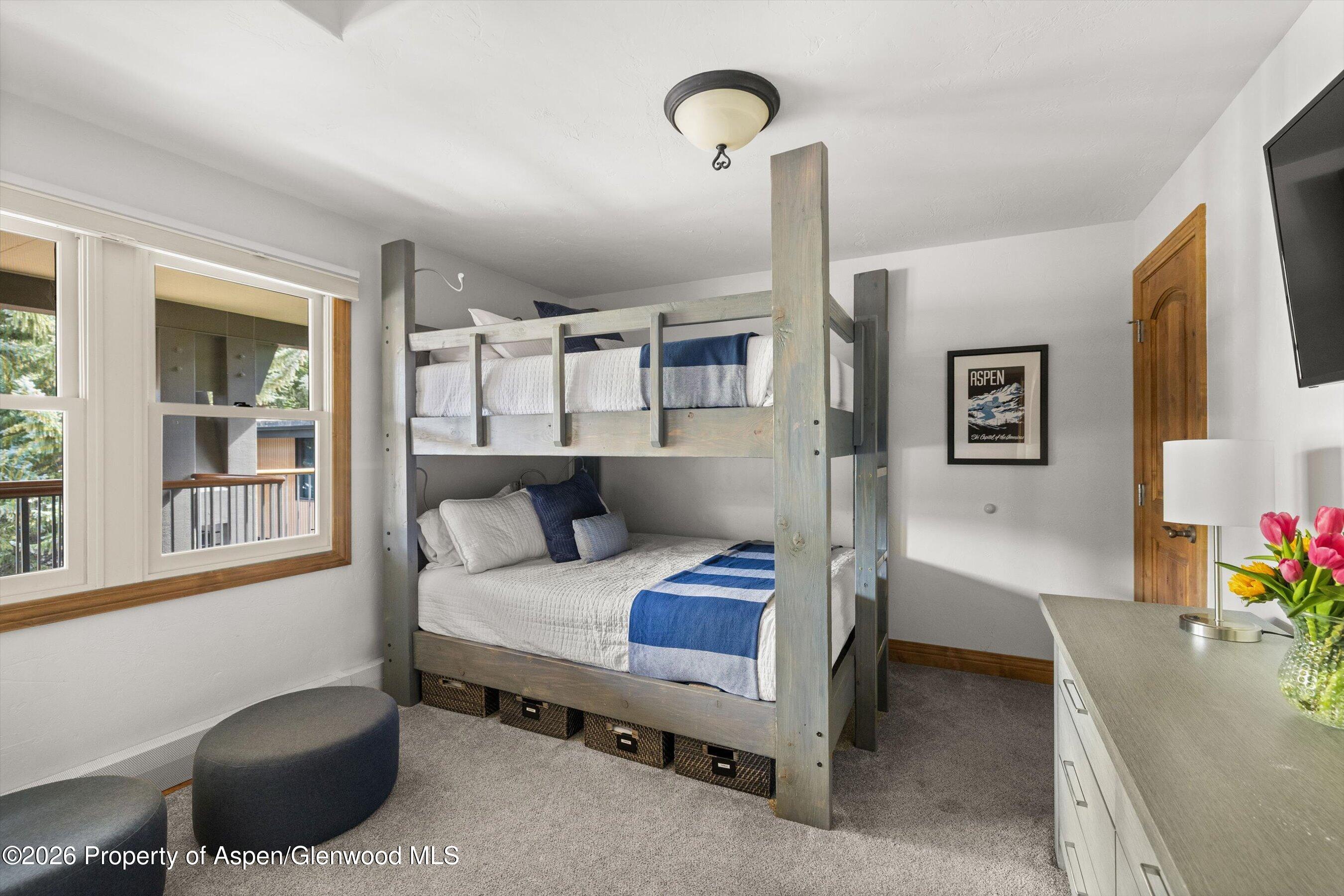 1020 E Durant Avenue Aspen CO 81611