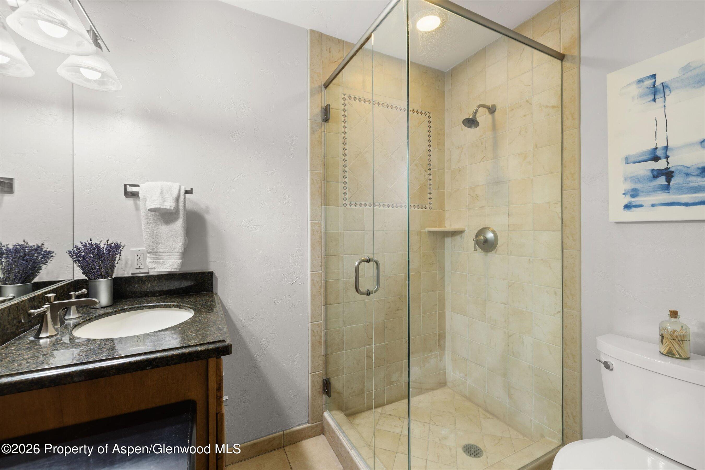 1020 E Durant Avenue Aspen CO 81611