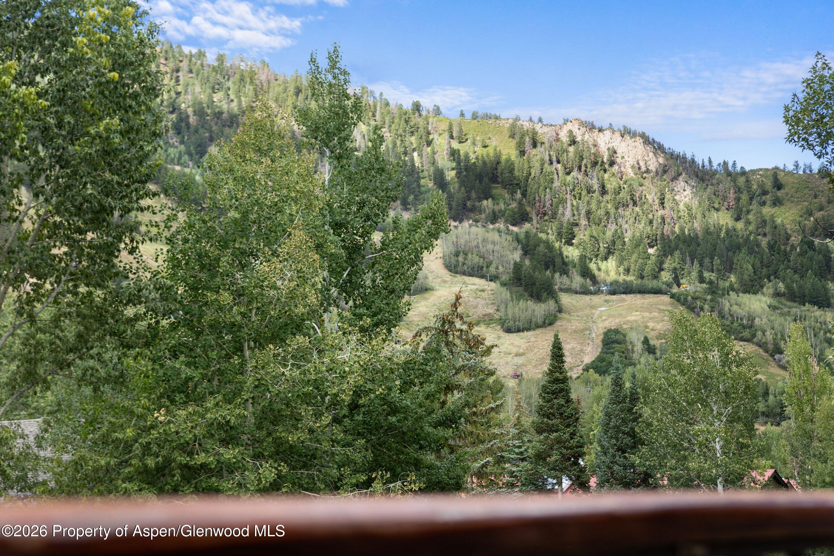 1020 E Durant Avenue Aspen CO 81611