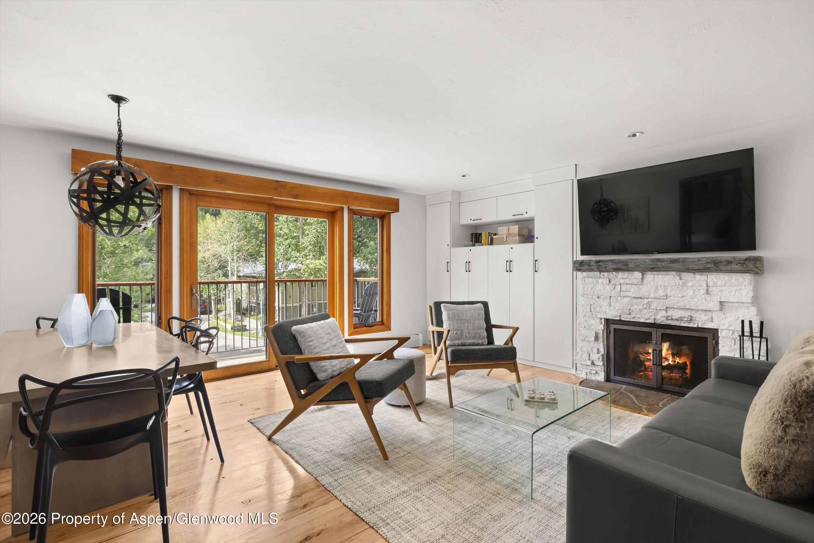 1020 E Durant Avenue Aspen CO 81611