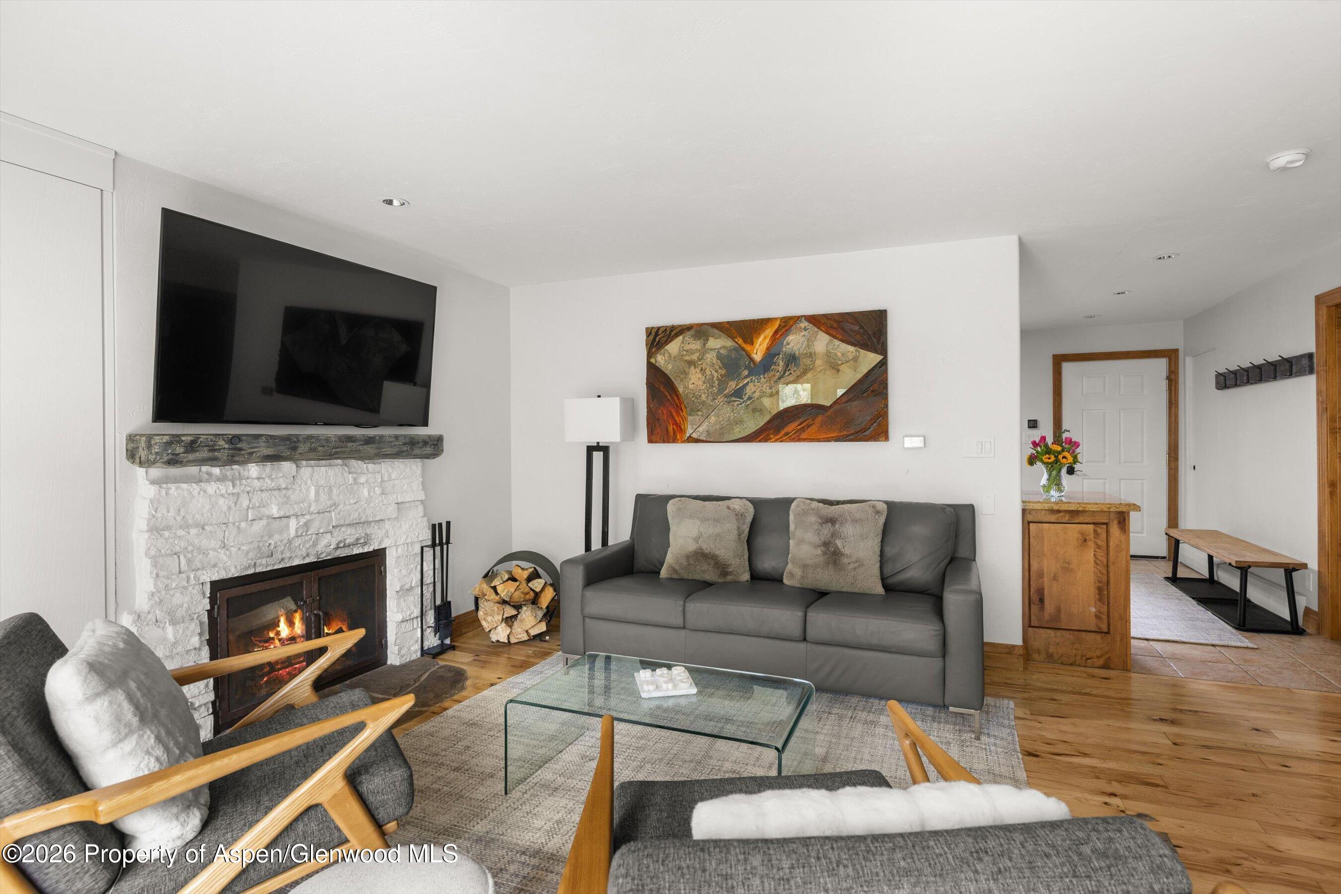 1020 E Durant Avenue Aspen CO 81611