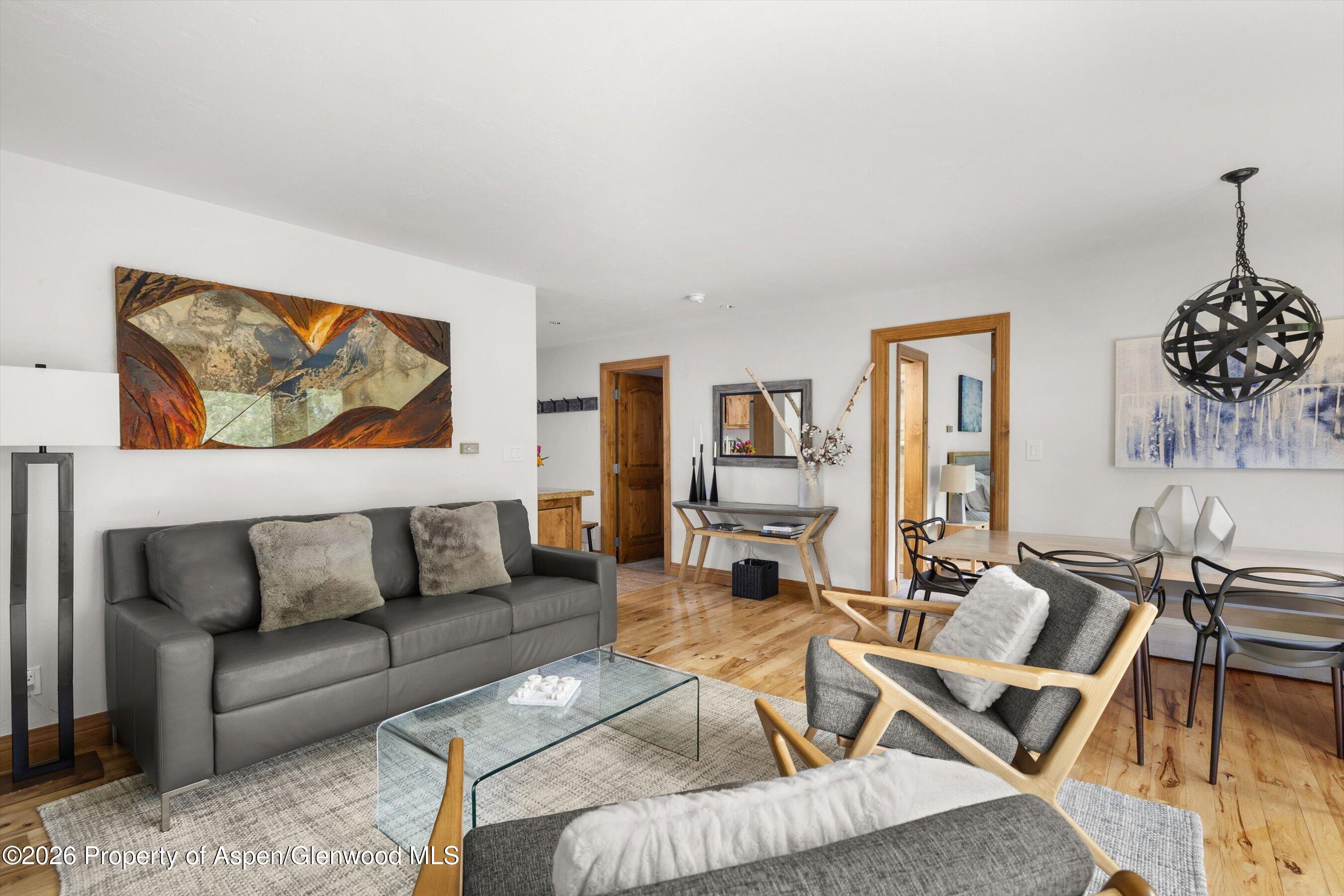 1020 E Durant Avenue Aspen CO 81611