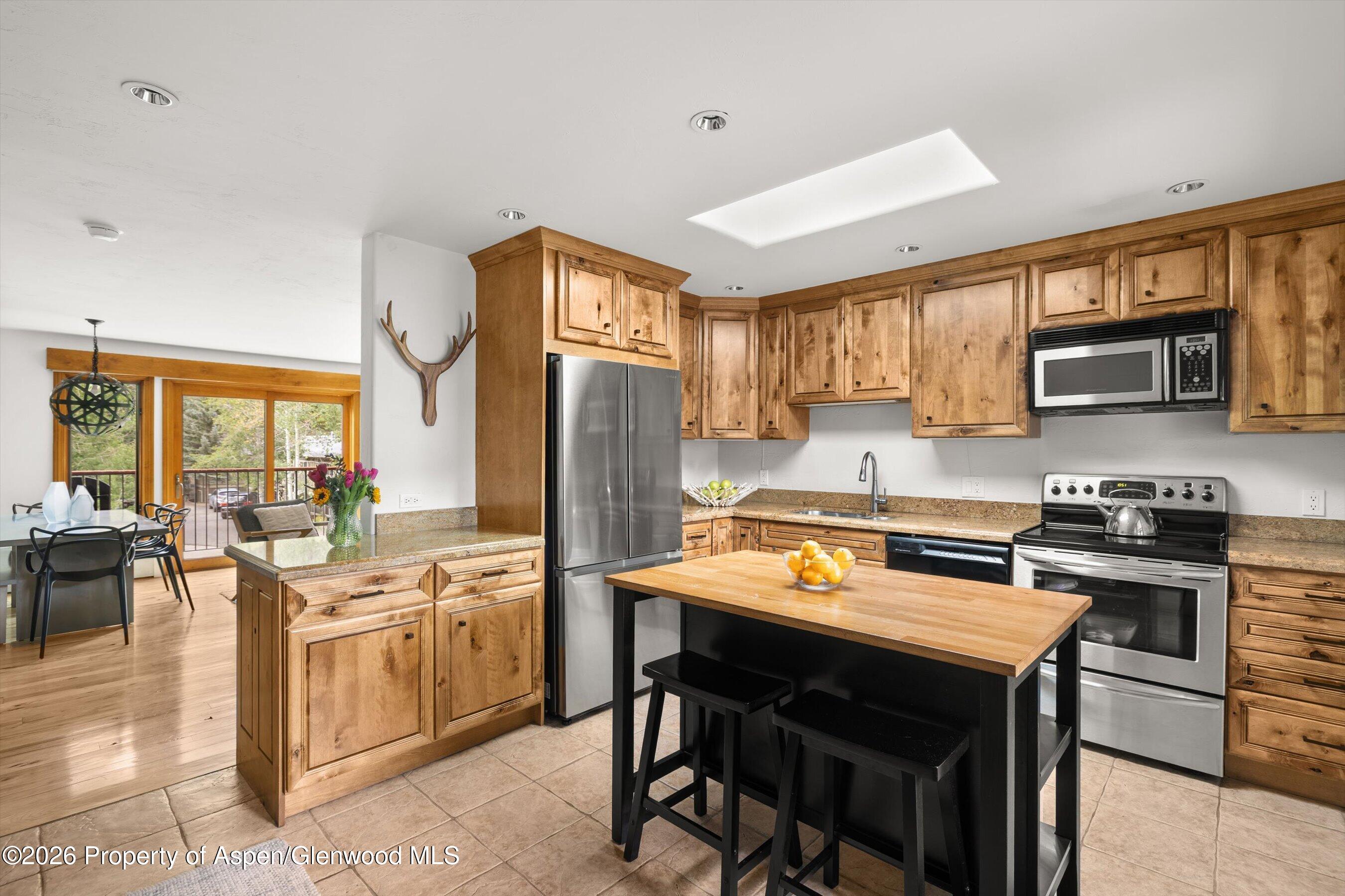 1020 E Durant Avenue Aspen CO 81611