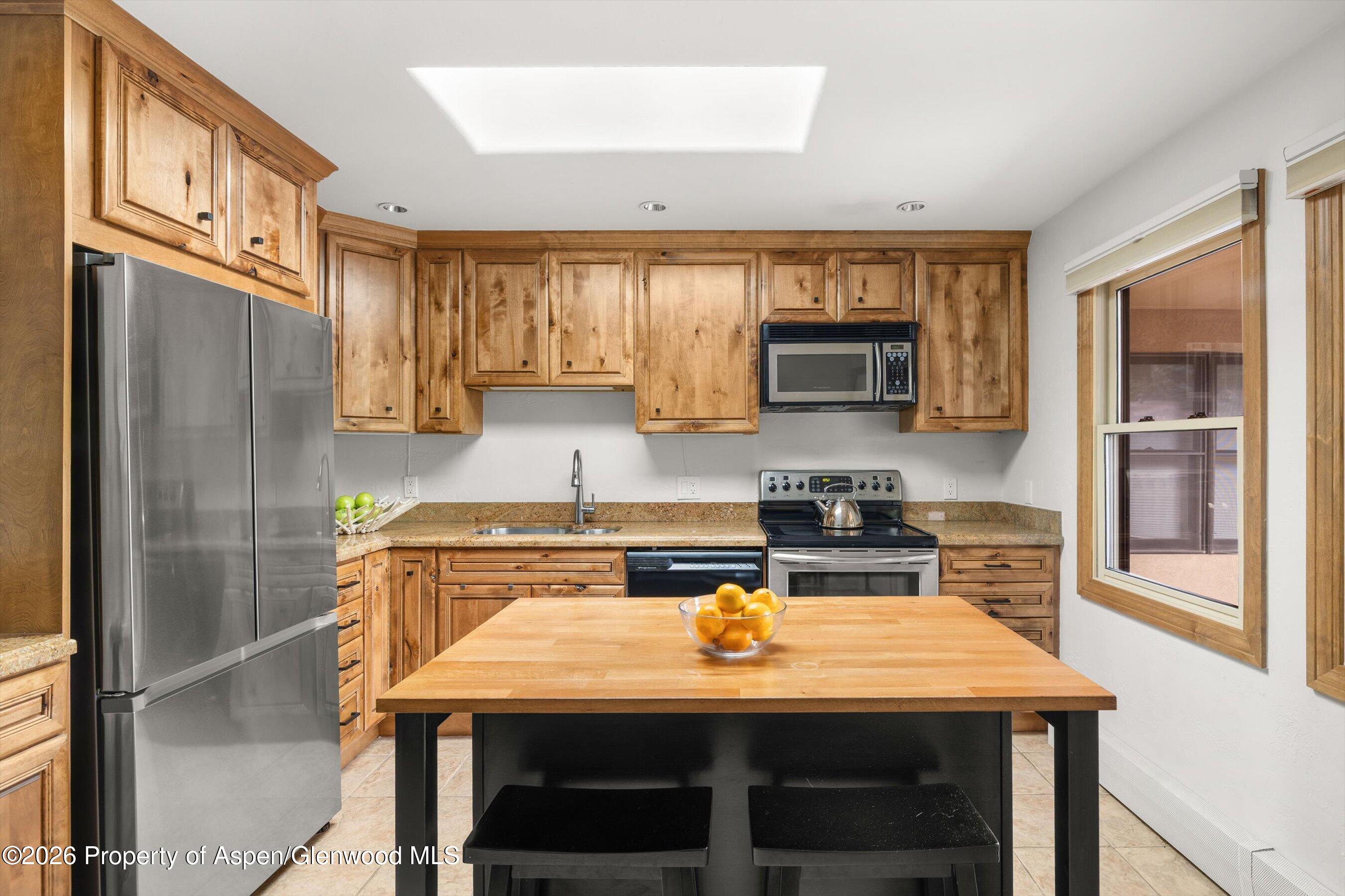 1020 E Durant Avenue Aspen CO 81611