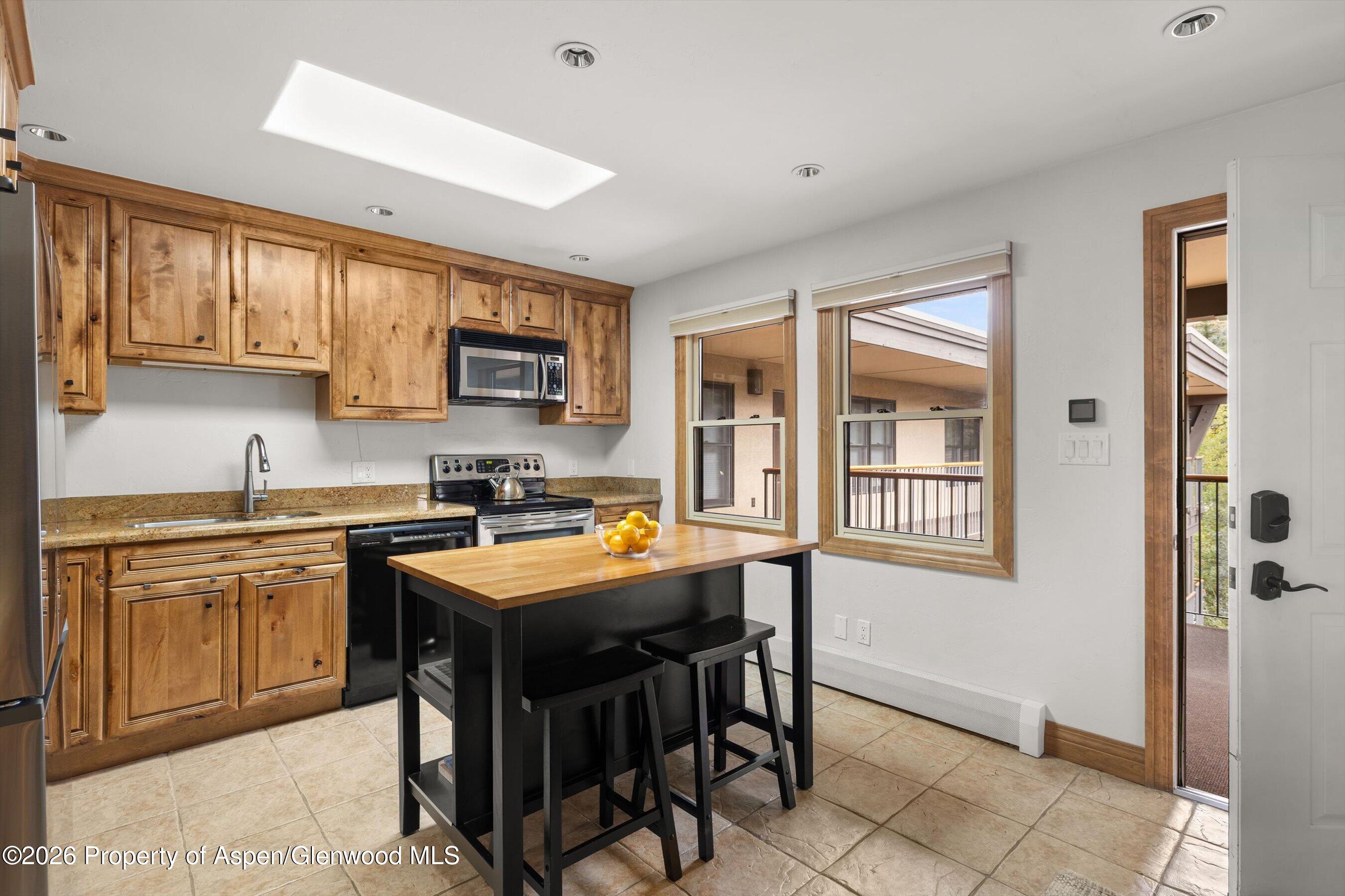 1020 E Durant Avenue Aspen CO 81611