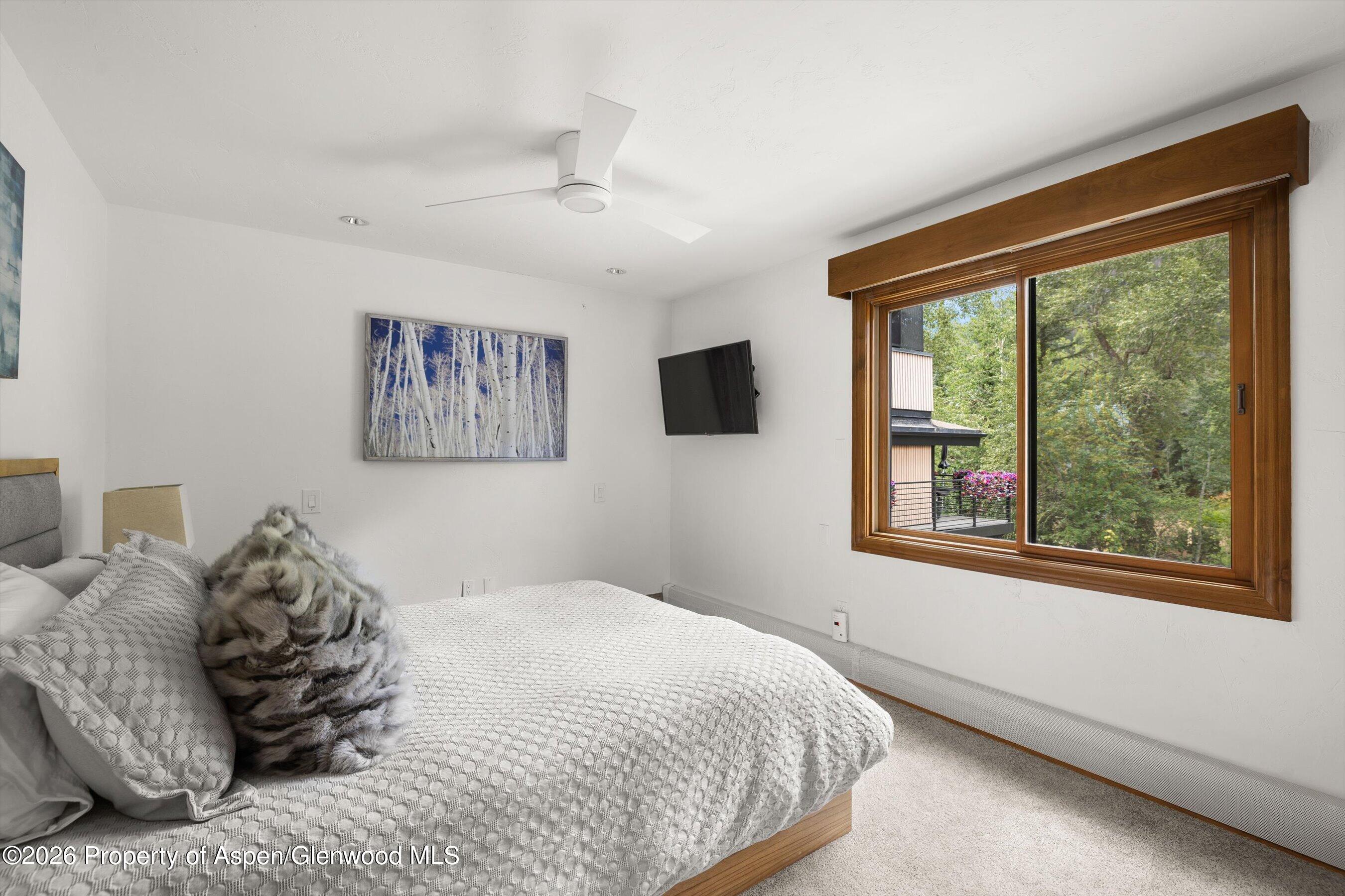 1020 E Durant Avenue Aspen CO 81611