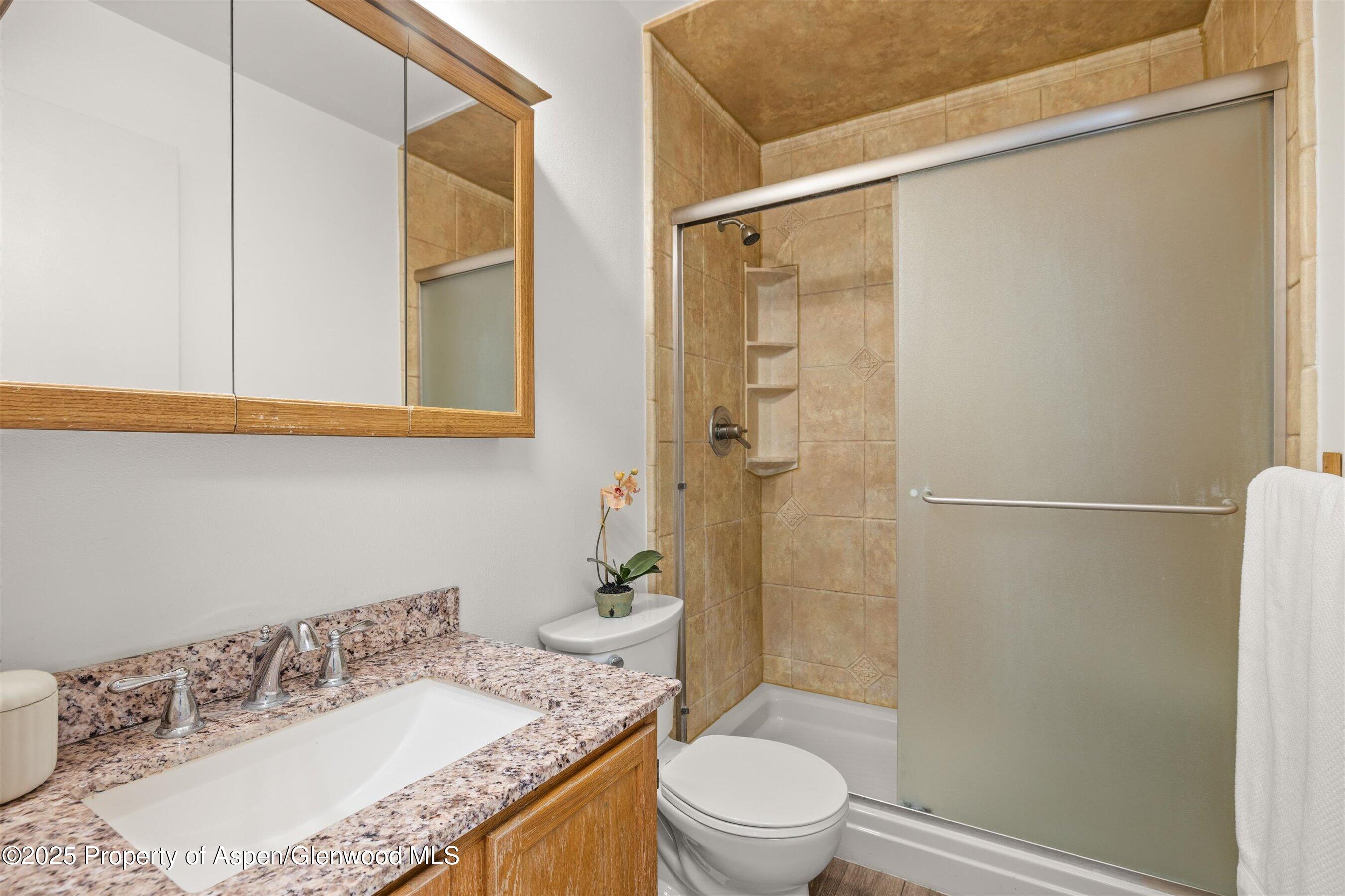 128 Hopi Carbondale CO 81623