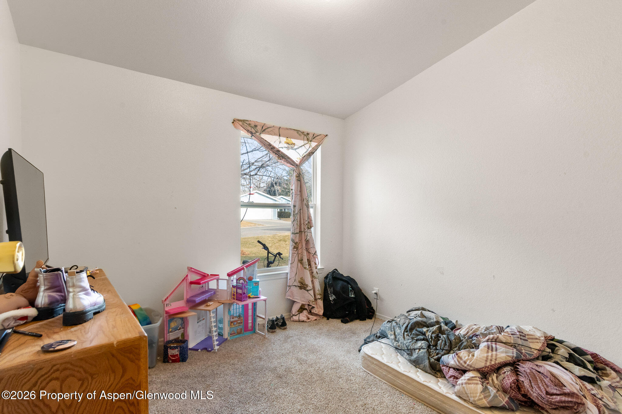 203 E Tamarack Circle Parachute CO 81635