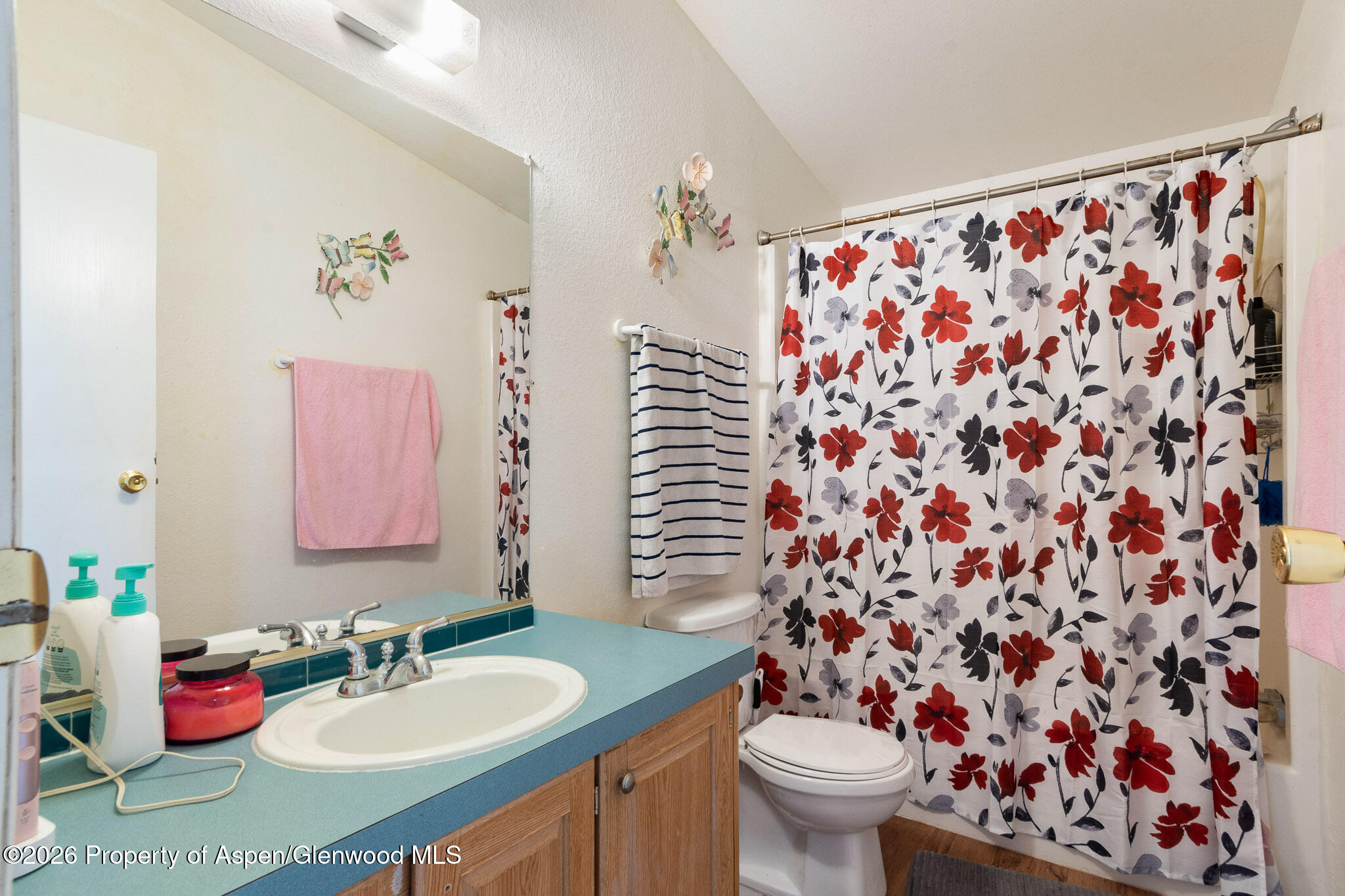 203 E Tamarack Circle Parachute CO 81635