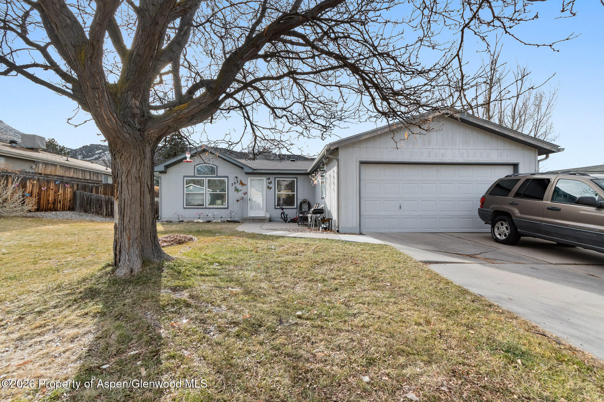 203 E Tamarack Circle Battlement Mesa CO 81635
