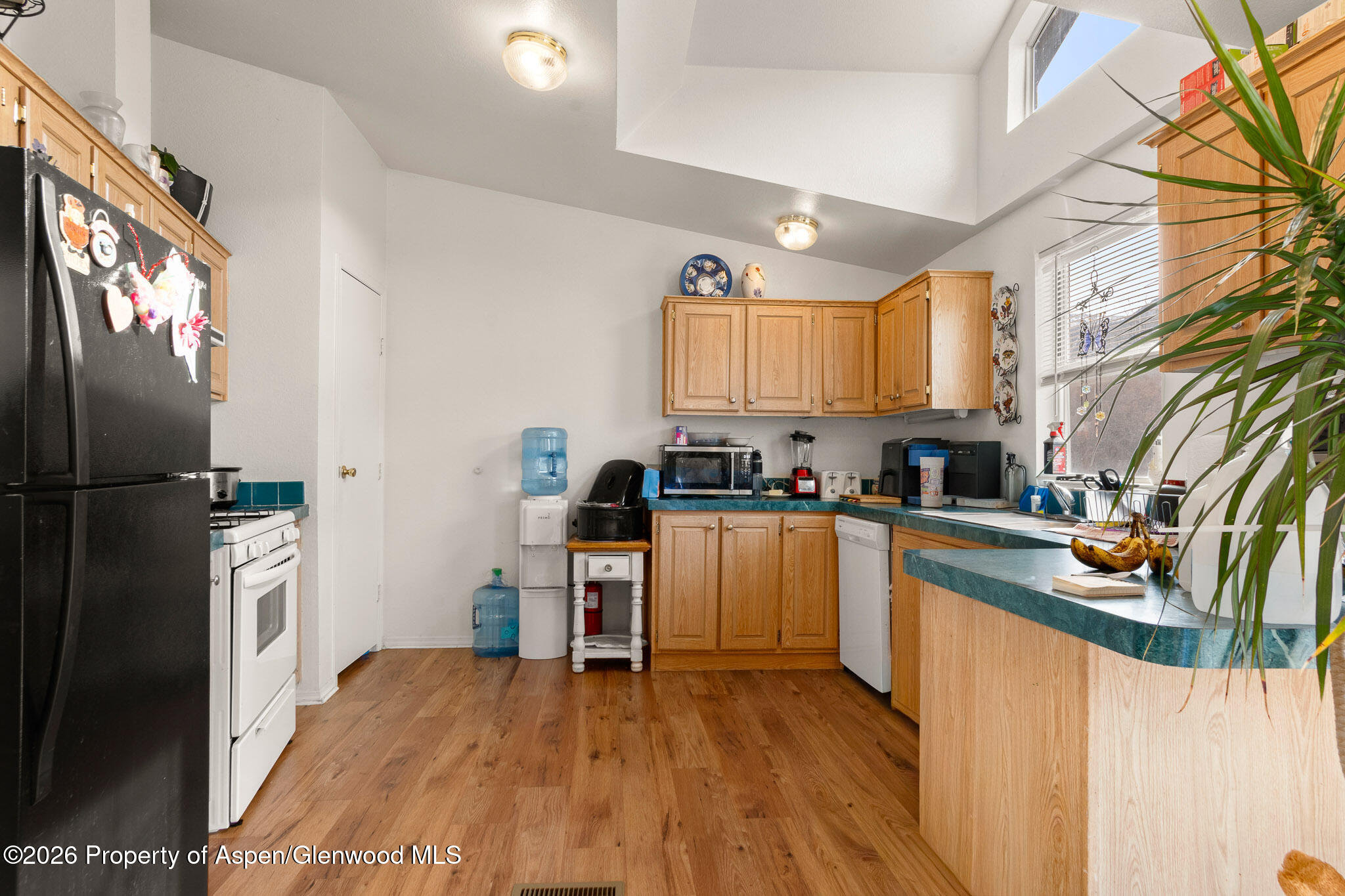 203 E Tamarack Circle Parachute CO 81635