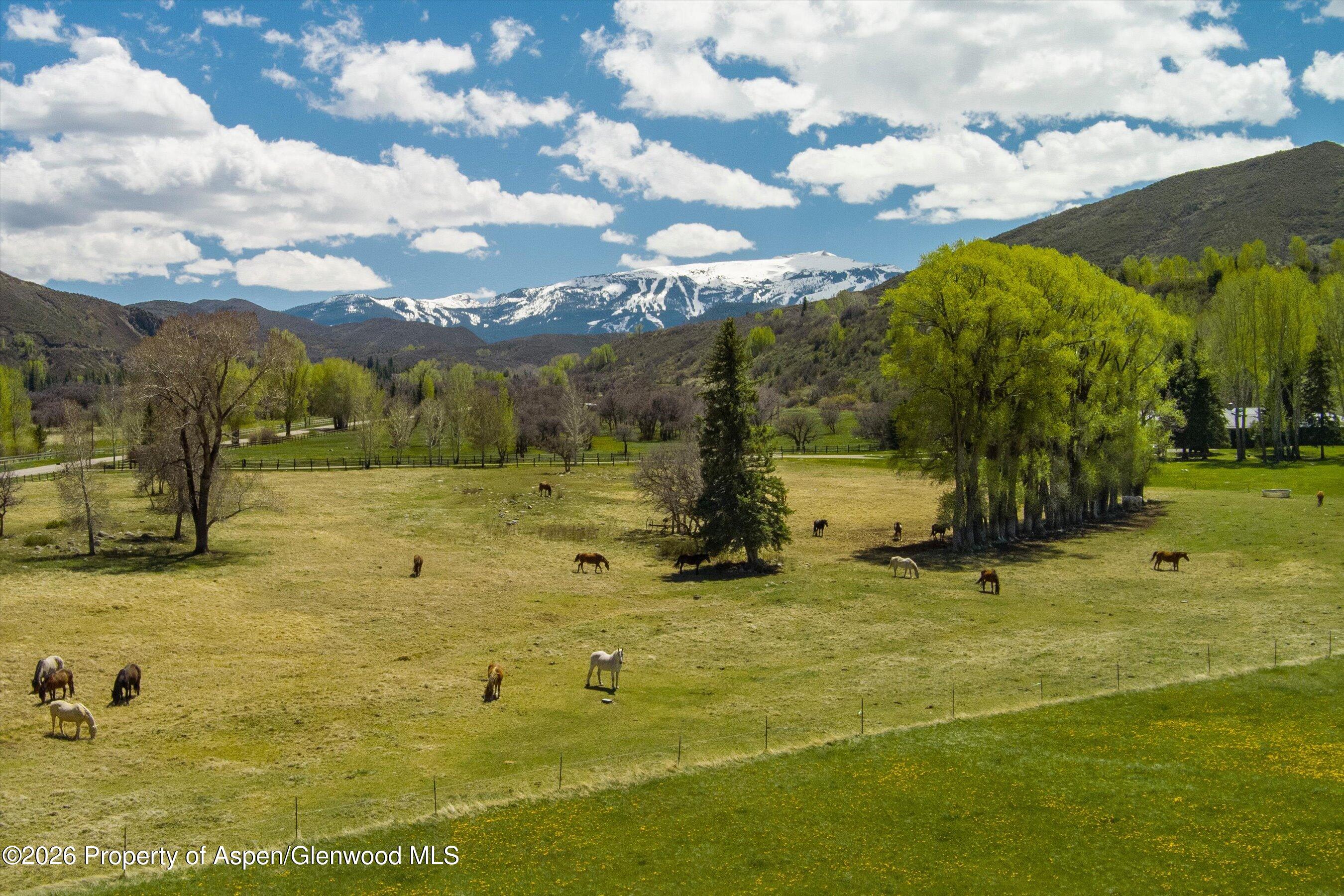 3333 Snowmass Creek Road Snowmass CO 81654