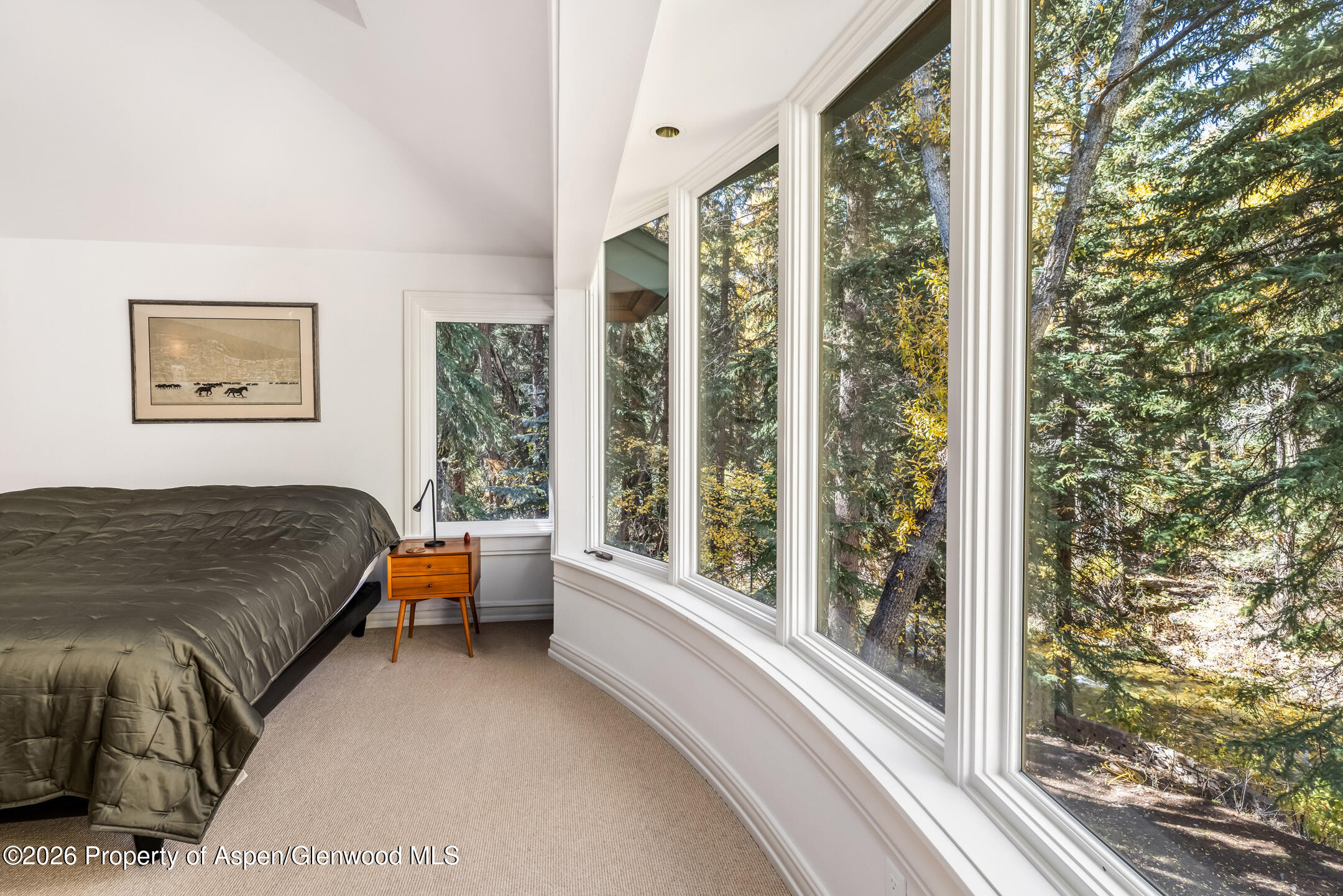635 Sneaky Lane Aspen CO 81611
