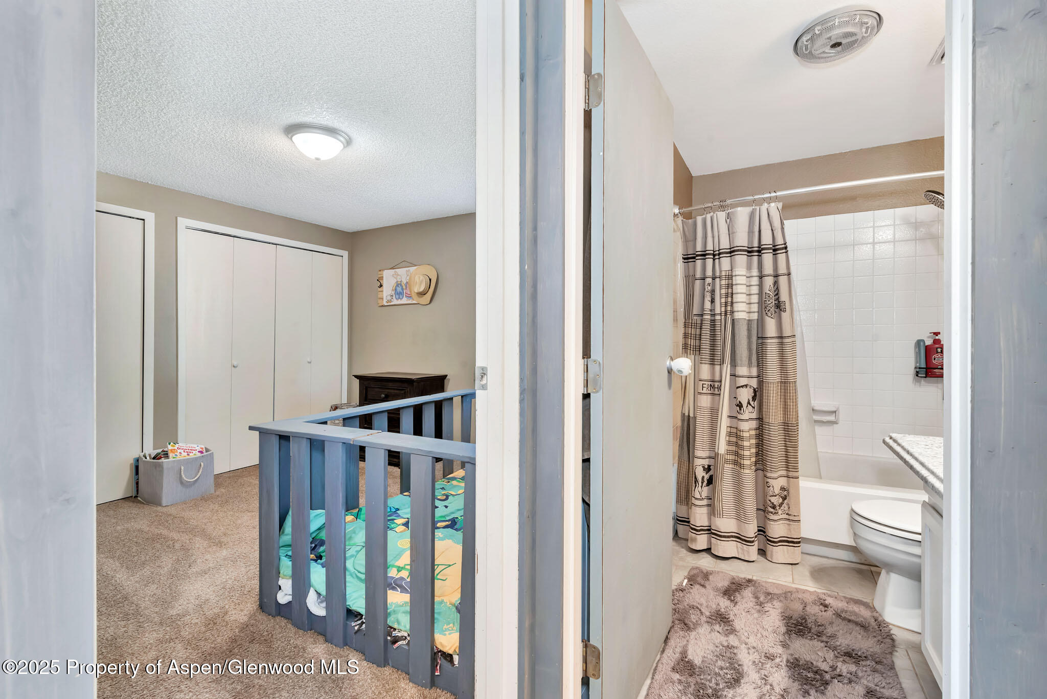 1070 Lincoln Street Craig CO 81625