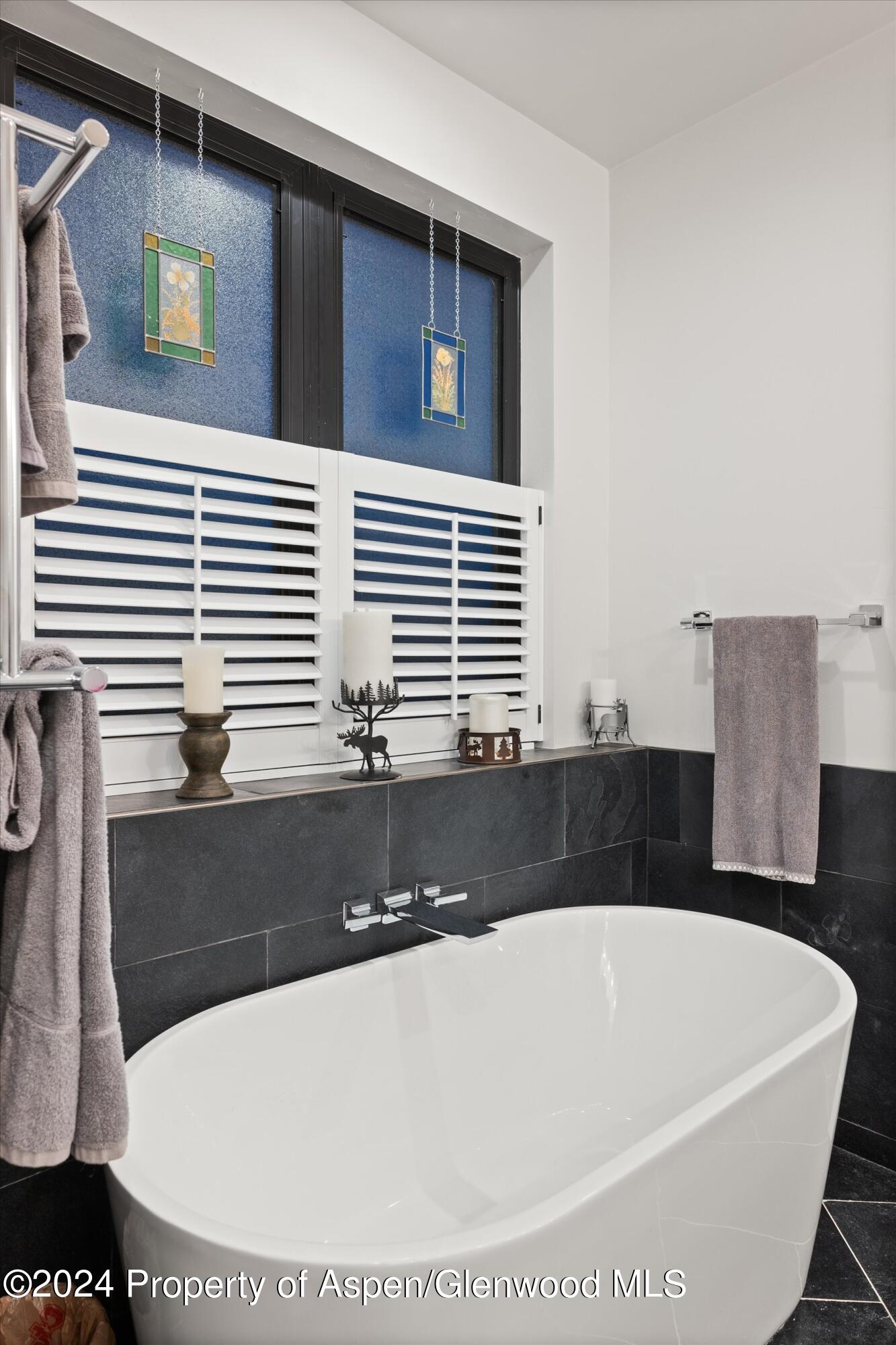 81 Paintbrush Way Glenwood Springs CO 81601